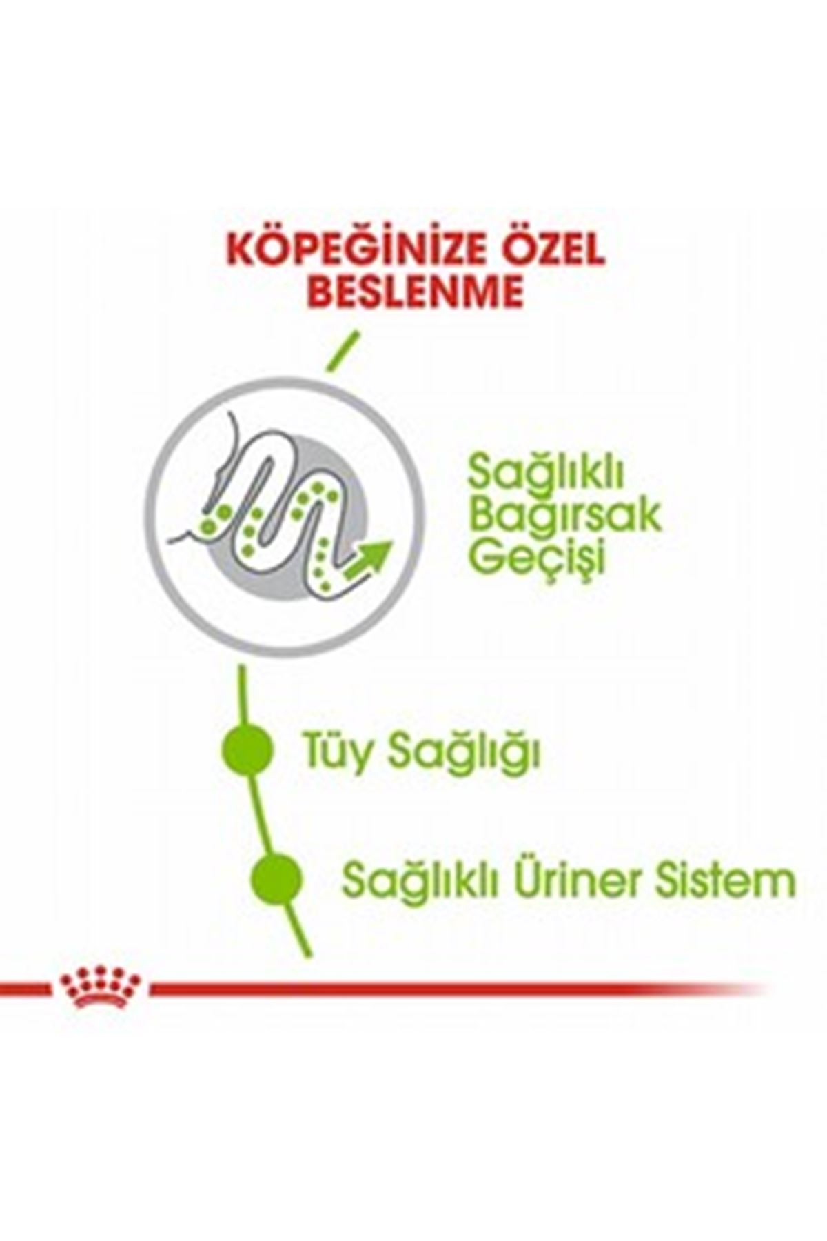 Royal Canin Köpek Maması Küçük Irk 1.5 Kg