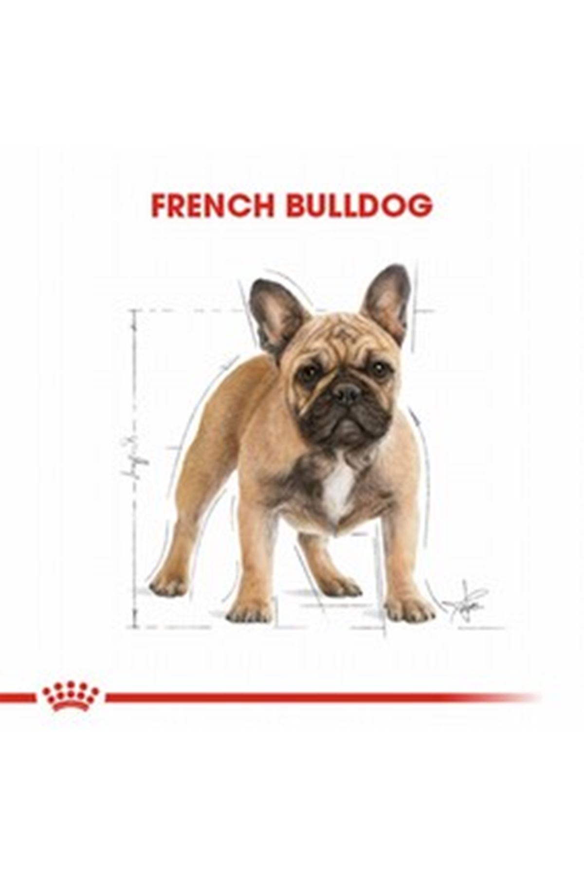 Royal Canin Köpek Maması French Bulldog 3 Kg