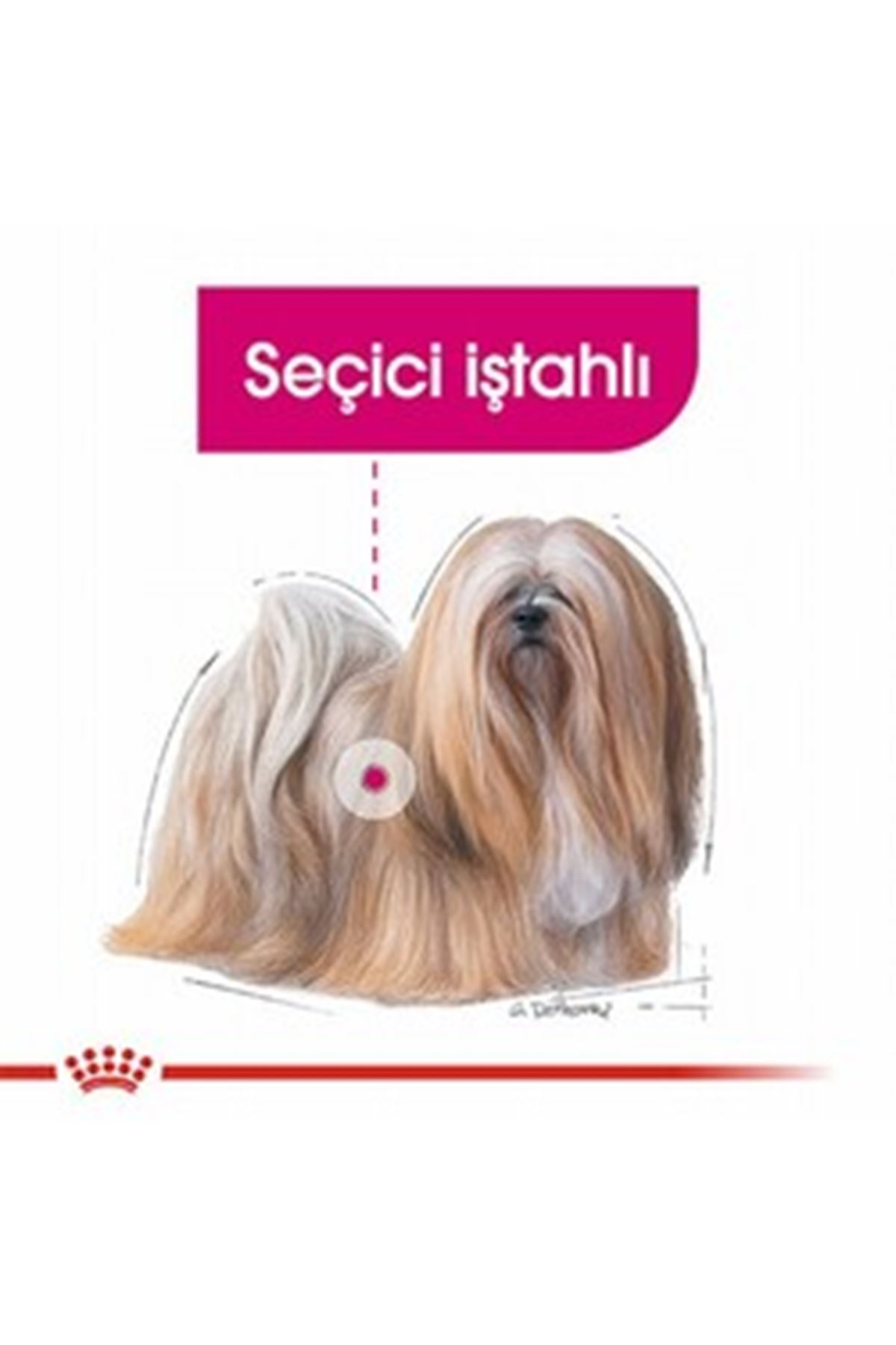 Royal Canin Köpek Maması Mini Seçici 3 Kg