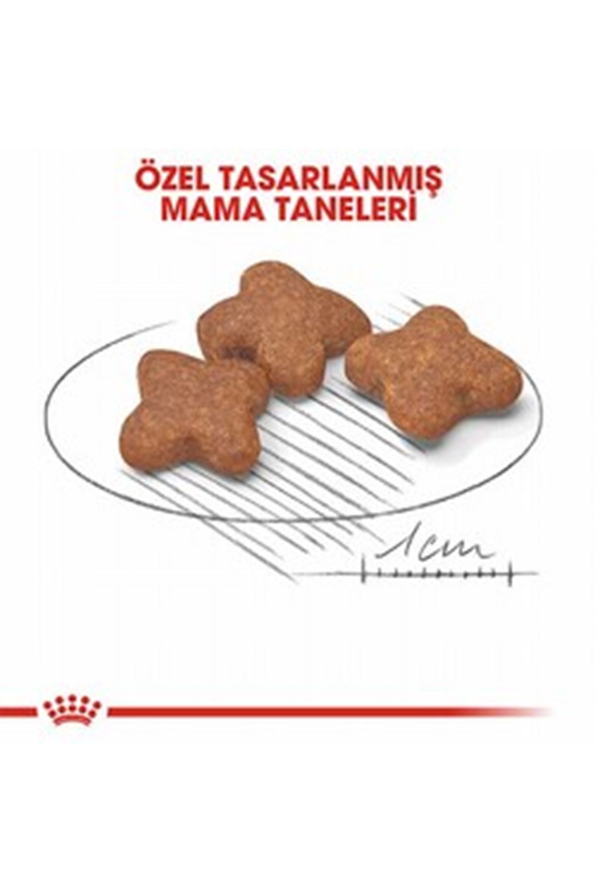 Royal Canin Köpek Maması 8+ Mini Irk 2 Kg