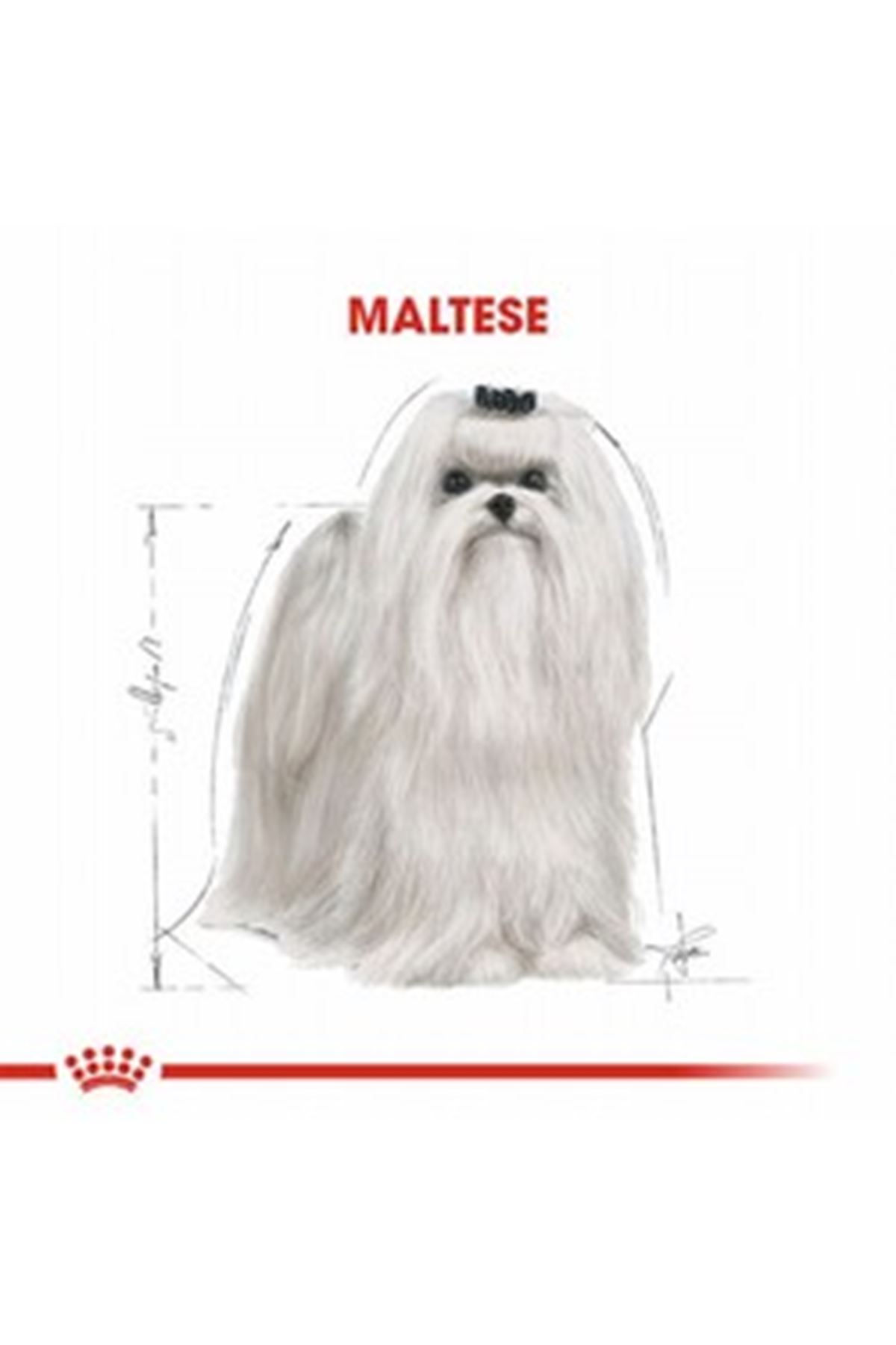 Royal Canin Köpek Maması Maltese 1.5 Kg