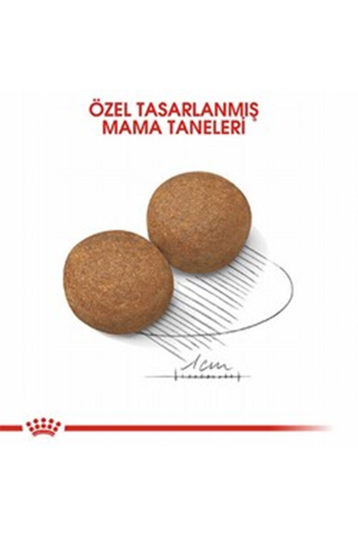 Royal Canin Köpek Maması Büyük Irk 15 Kg