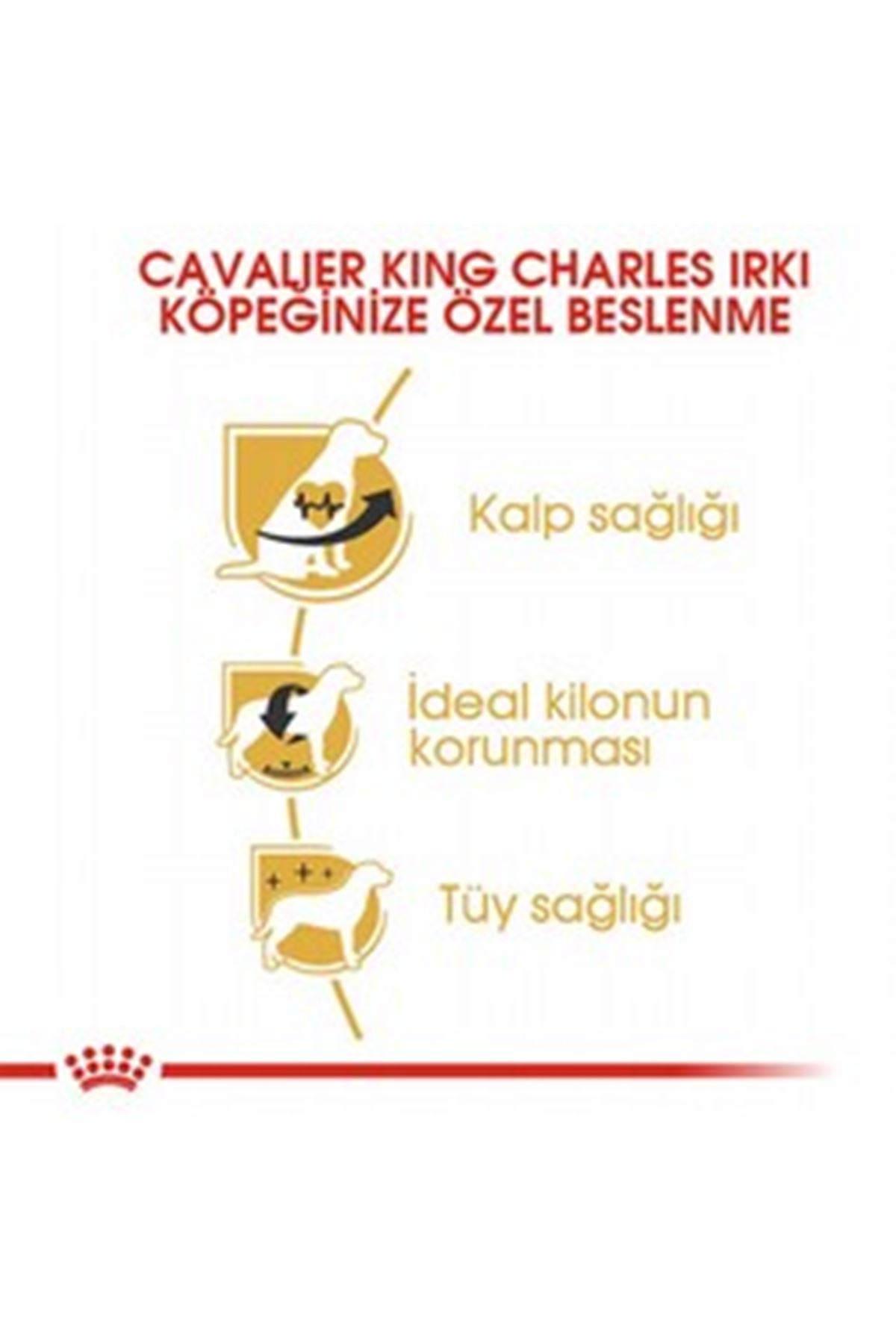 Royal Canin Köpek Mama Cavalier King Charles 1.5Kg