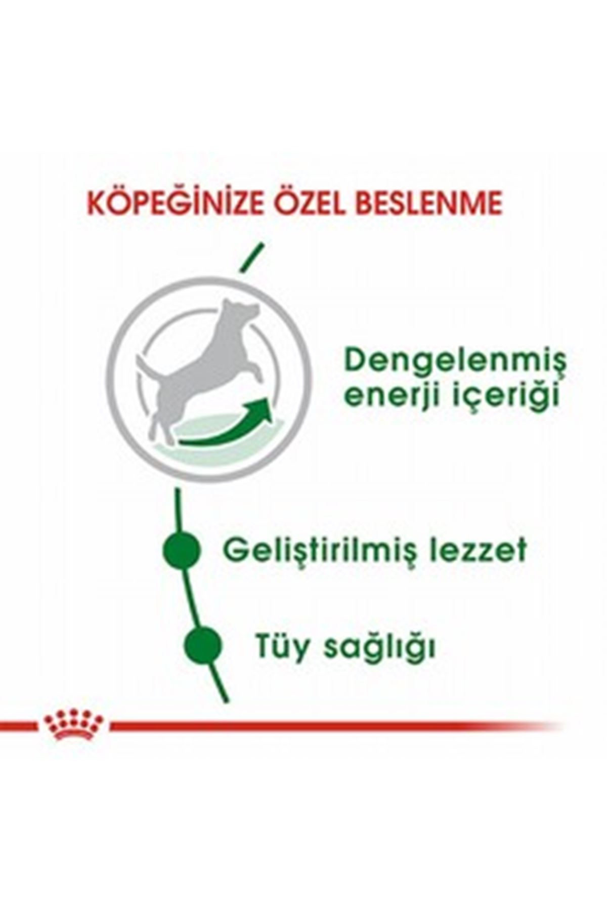Royal Canin Köpek Maması Mini Irk 4 Kg