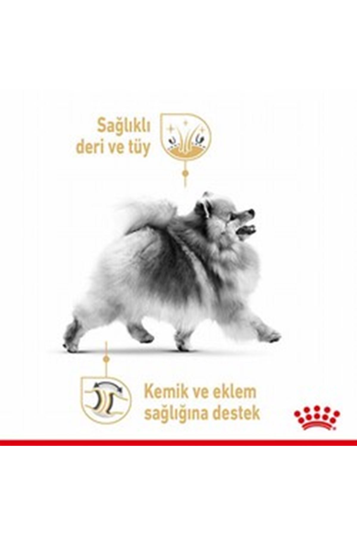 Royal Canin Köpek Maması Pomeranian 1.5 Kg