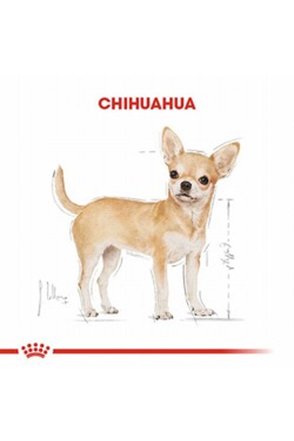 Royal Canin Köpek Maması Chihuahua 1.5 Kg