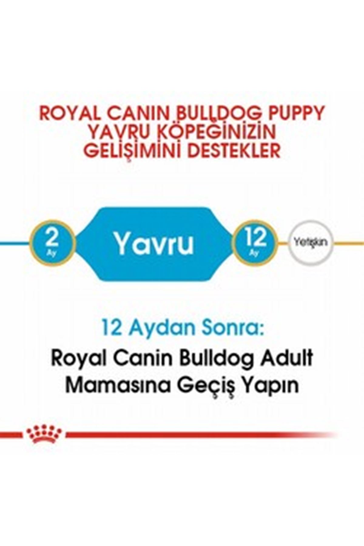 Royal Canin Yavru Köpek Maması Fransız Bulldog 3Kg