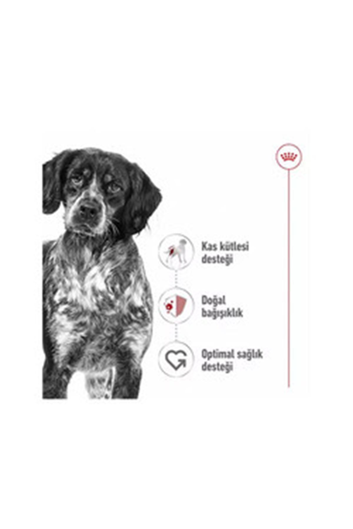 Royal Canin Köpek Yaş Maması Loaf Mousse 410 G