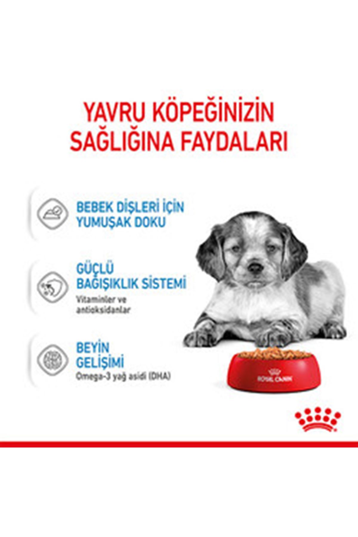 Royal Canin Yavru Köpek Yaş Maması Orta Irk 140 G