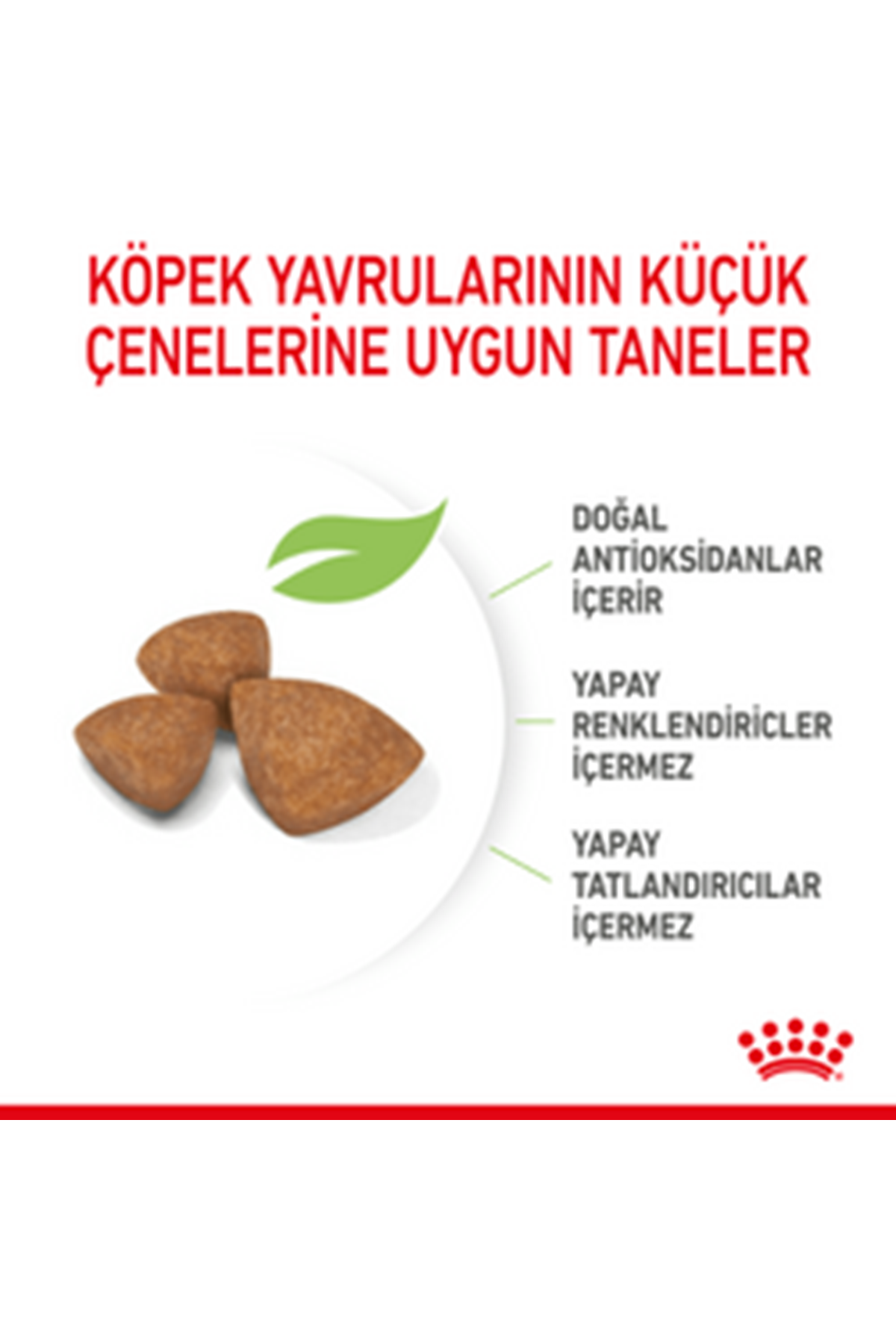 Royal Canin Yavru Köpek Maması Küçük Irk 1.5 Kg