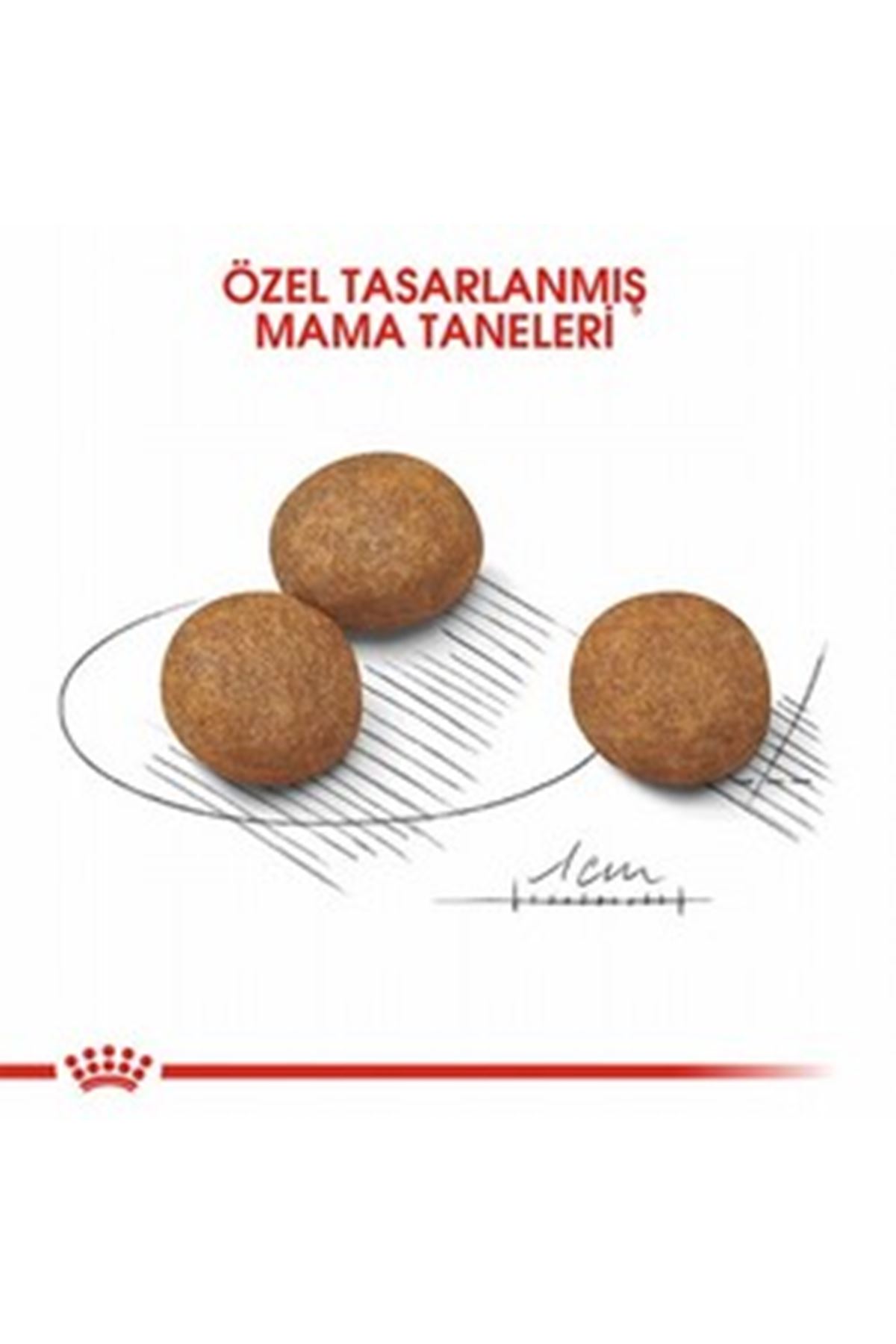 Royal Canin Yavru Köpek Maması Büyük Irk 15 Kg