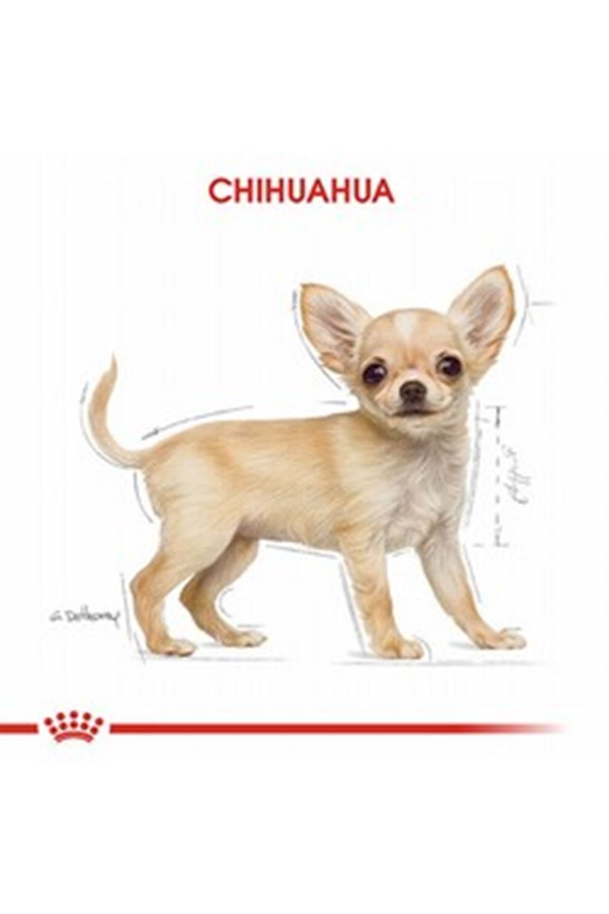 Royal Canin Yavru Köpek Maması Chihuahua 1.5 Kg
