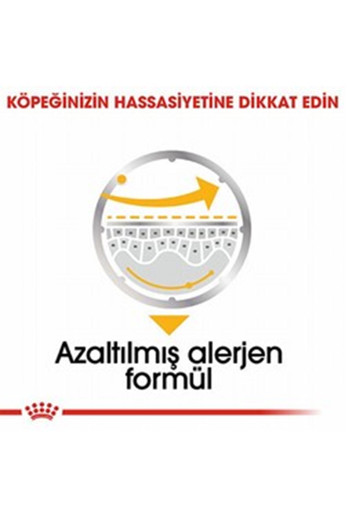 Royal Canin Köpek Yaş Maması Dermacomfort 85 G