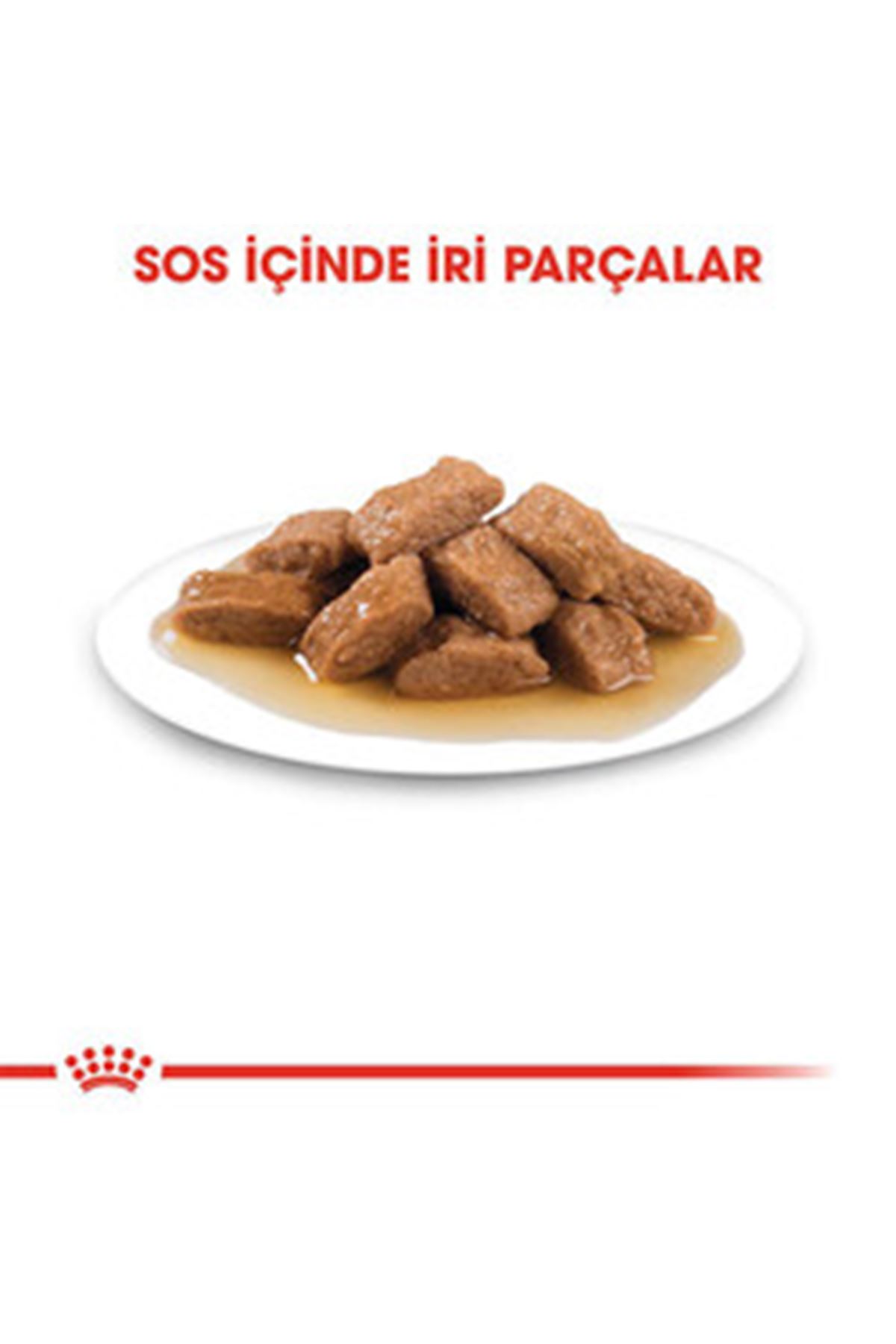 Royal Canin Köpek Yaş Maması Orta Irk 140 G
