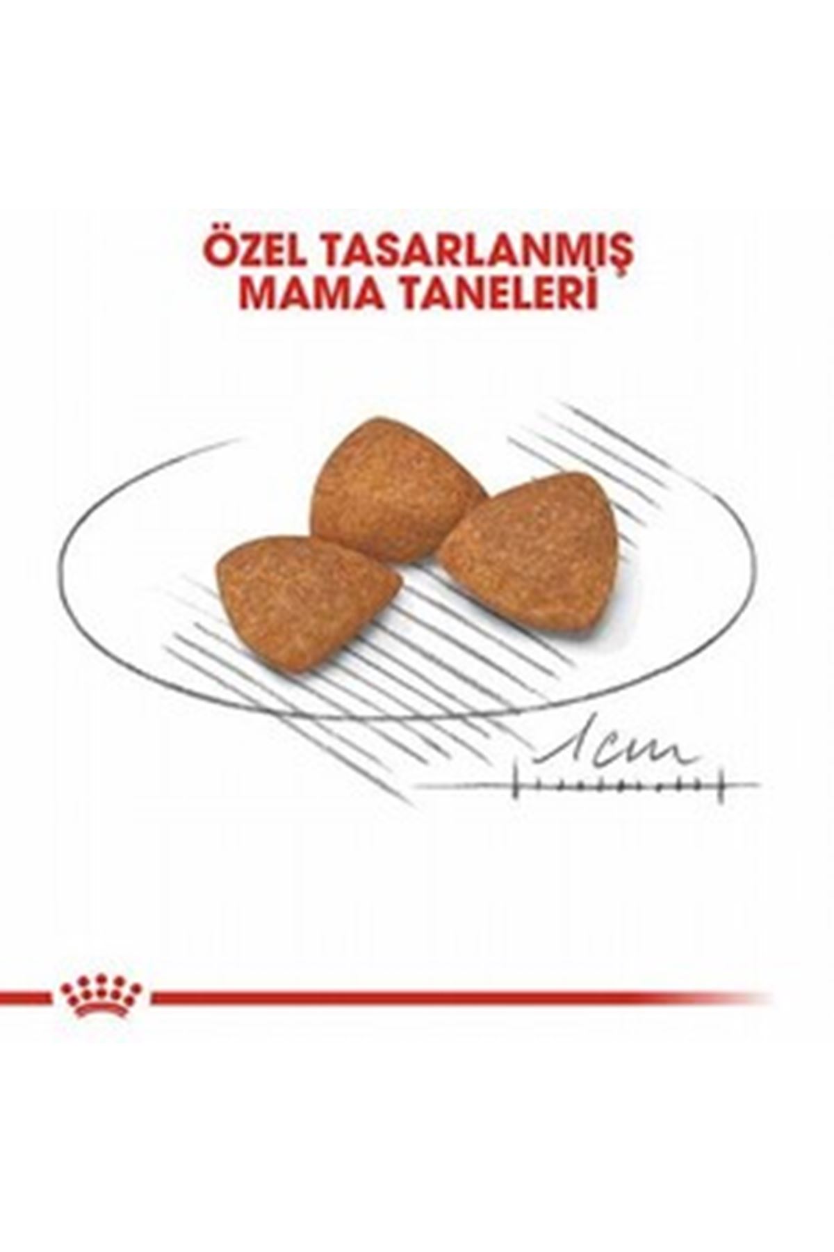 Royal Canin Köpek Maması 12+ Küçük Irk 1.5 Kg