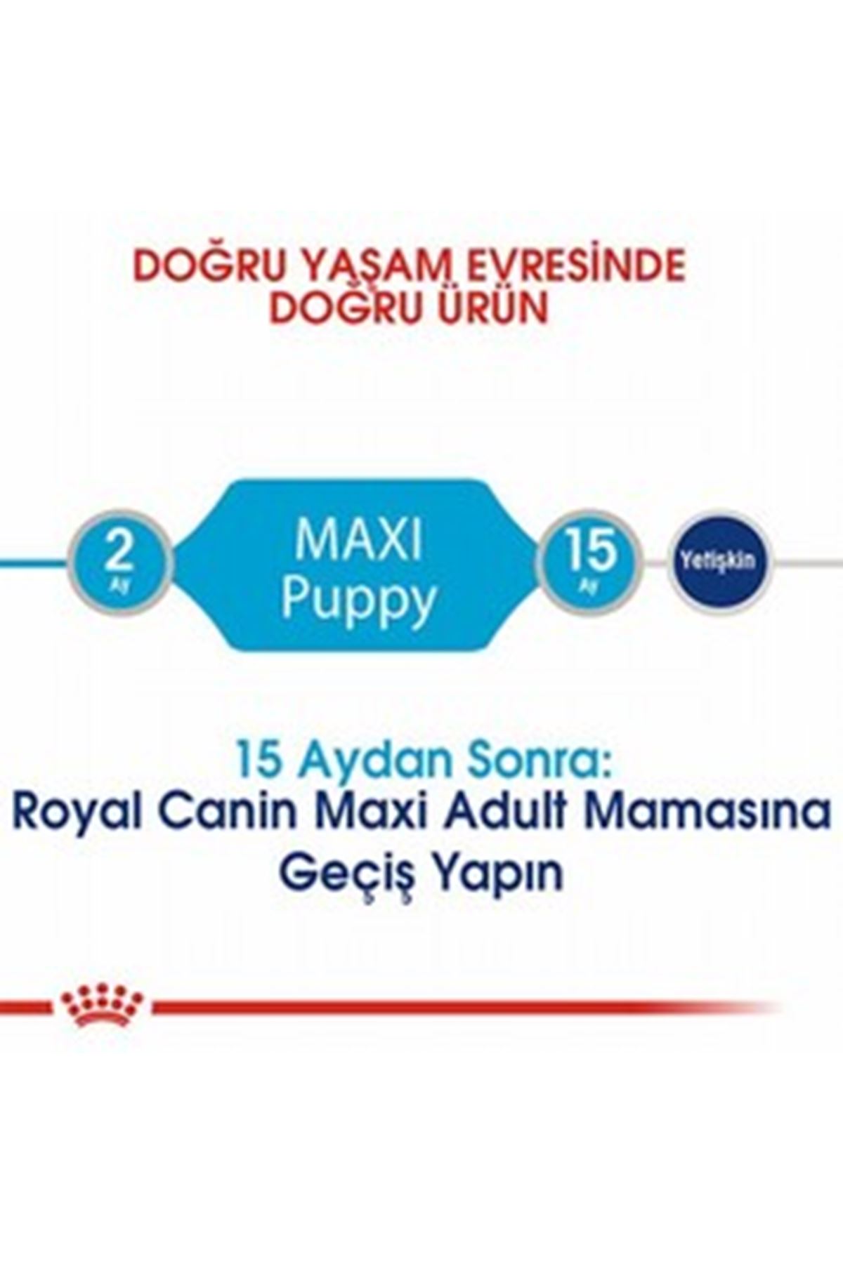 Royal Canin Yavru Köpek Maması Büyük Irk 15 Kg