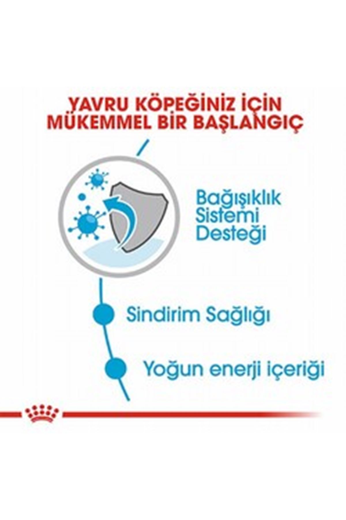 Royal Canin Yavru Köpek Yaş Maması Mini Irk 85 G