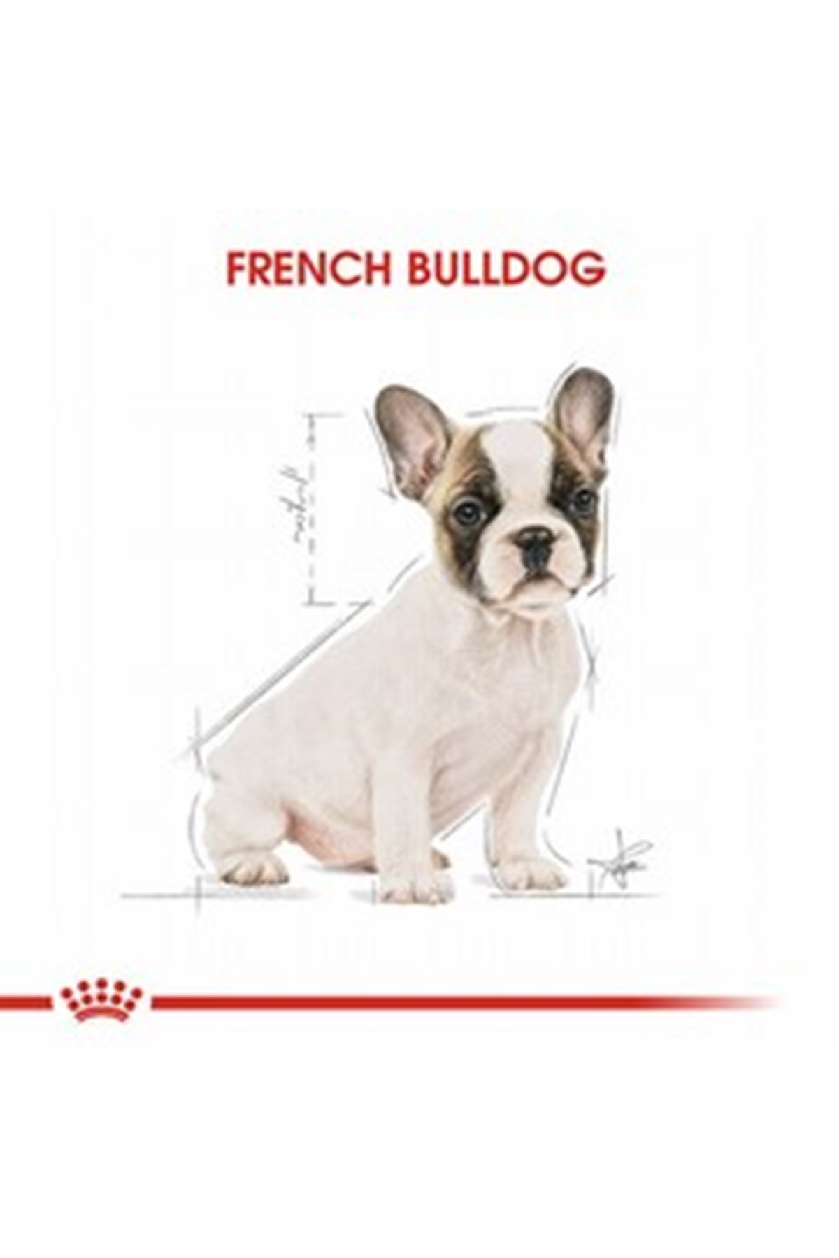 Royal Canin Yavru Köpek Maması Fransız Bulldog 3Kg