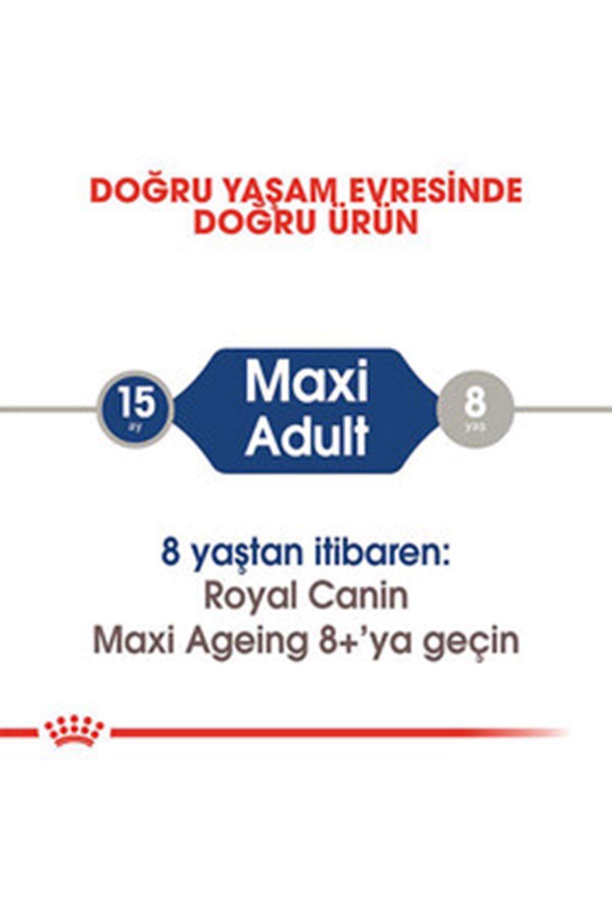 Royal Canin Köpek Yaş Maması Büyük Irk 140 G