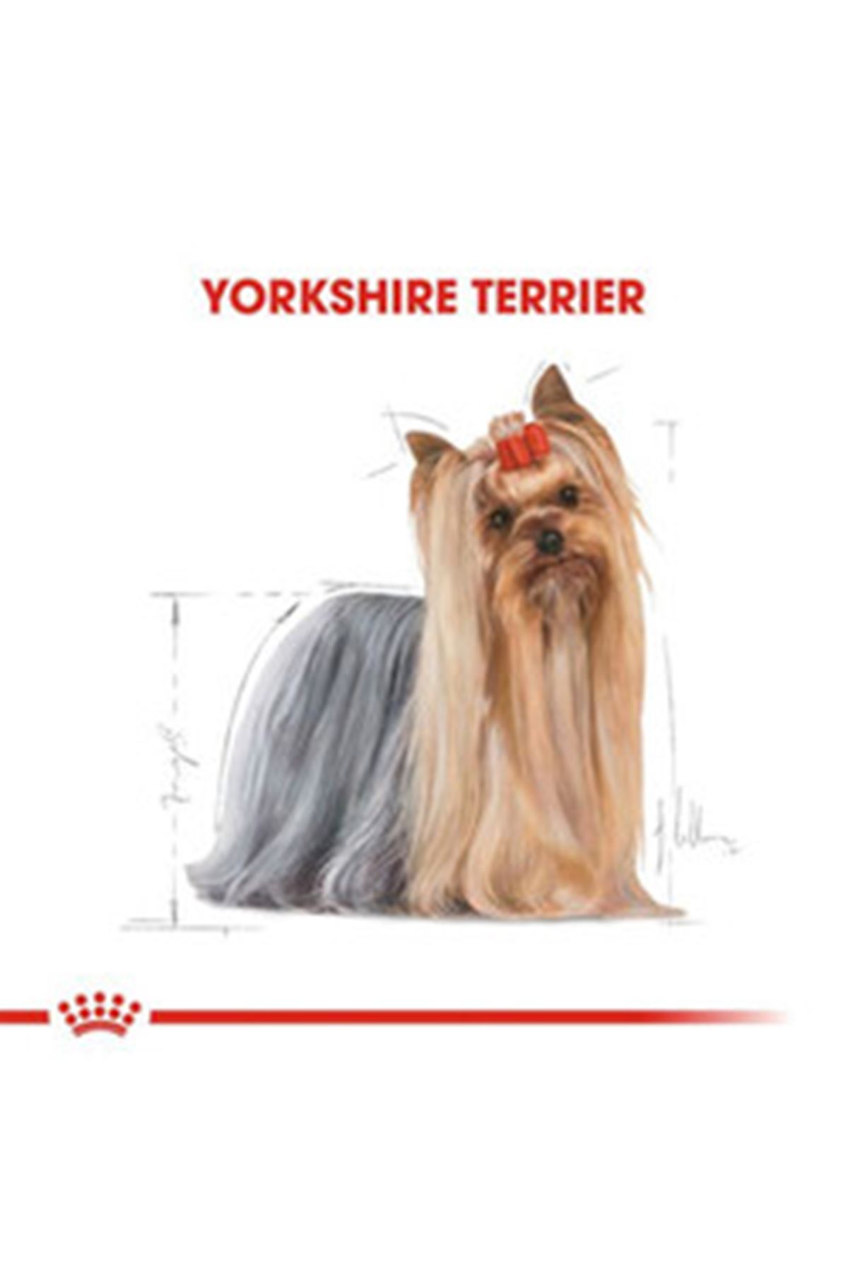 Royal Canin Köpek Yaş Maması Yorkshire 85 G