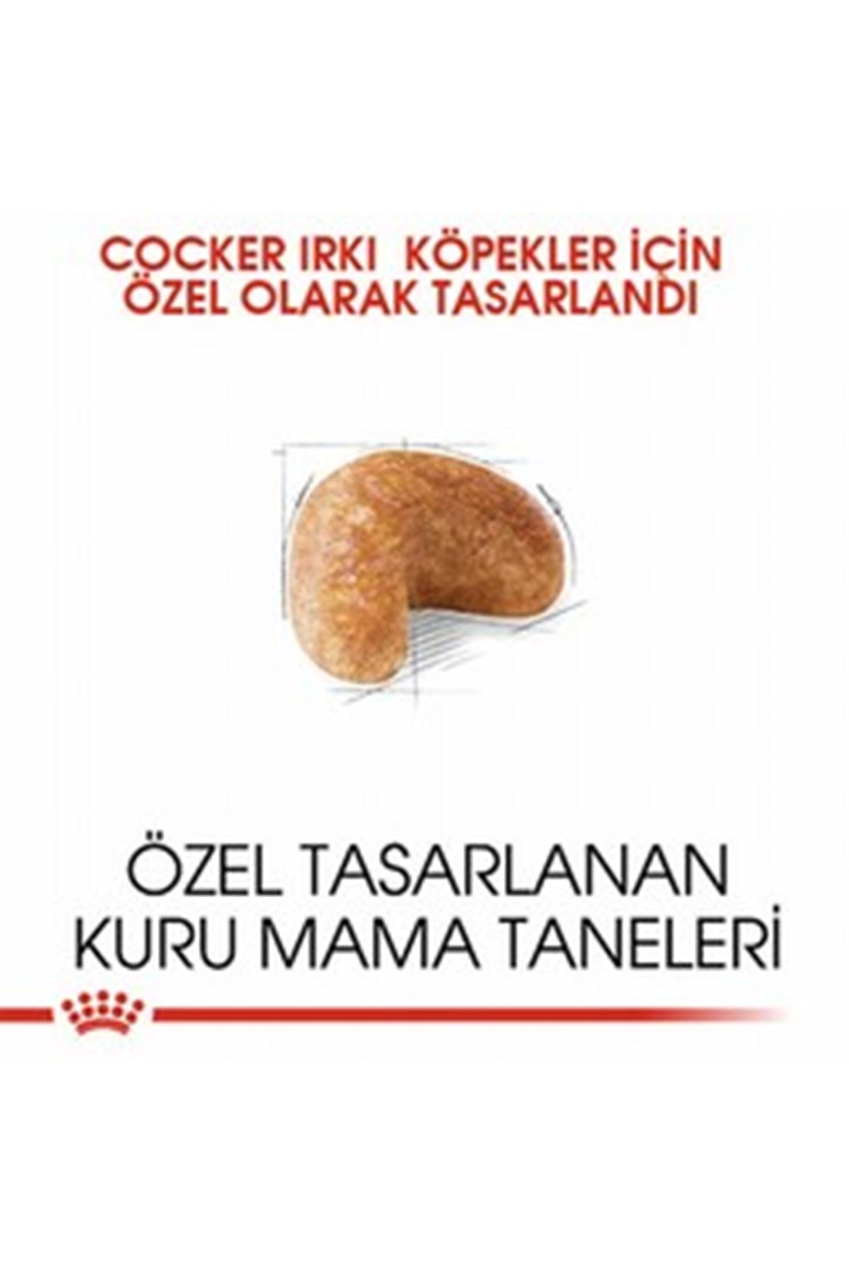 Royal Canin Köpek Maması Cocker 3 Kg