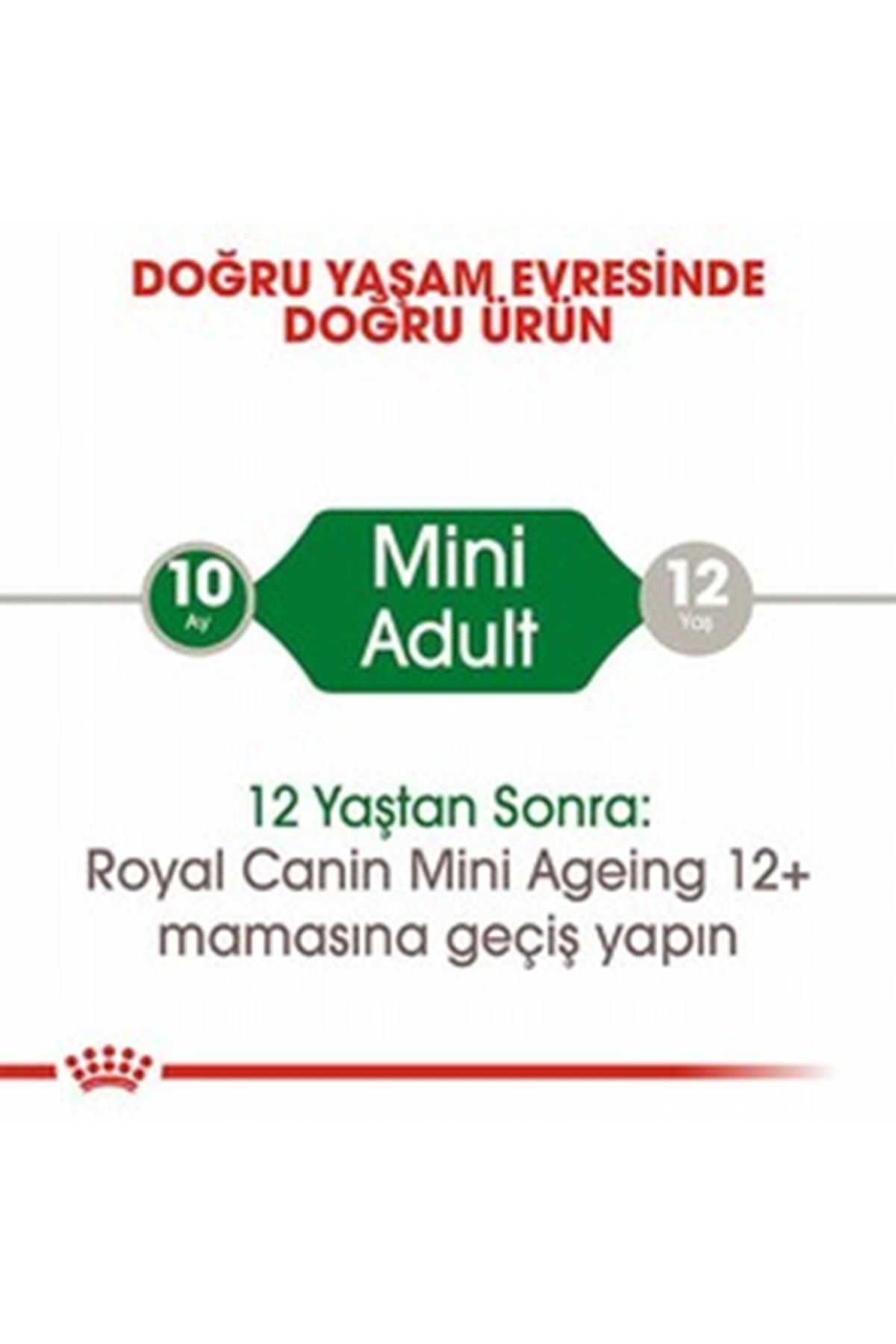 Royal Canin Köpek Yaş Maması Mini Irk 85 G