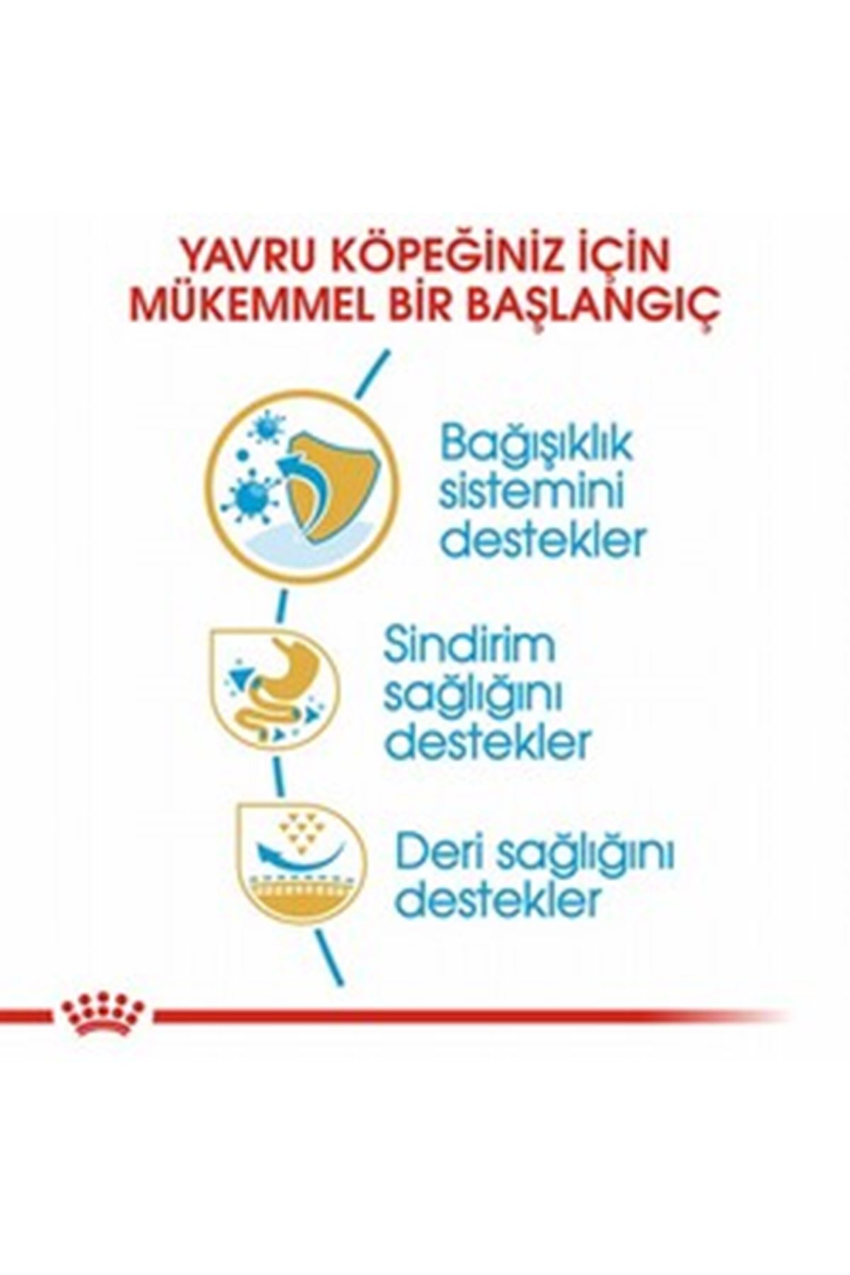 Royal Canin Yavru Köpek Maması Fransız Bulldog 3Kg