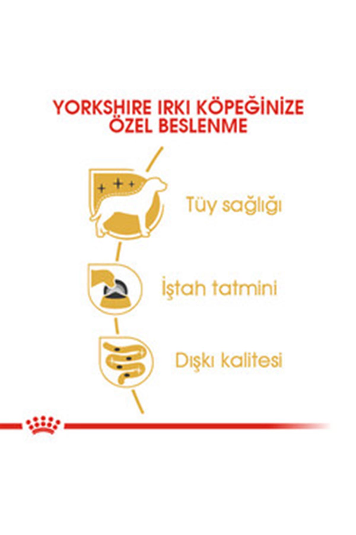 Royal Canin Köpek Yaş Maması Yorkshire 85 G