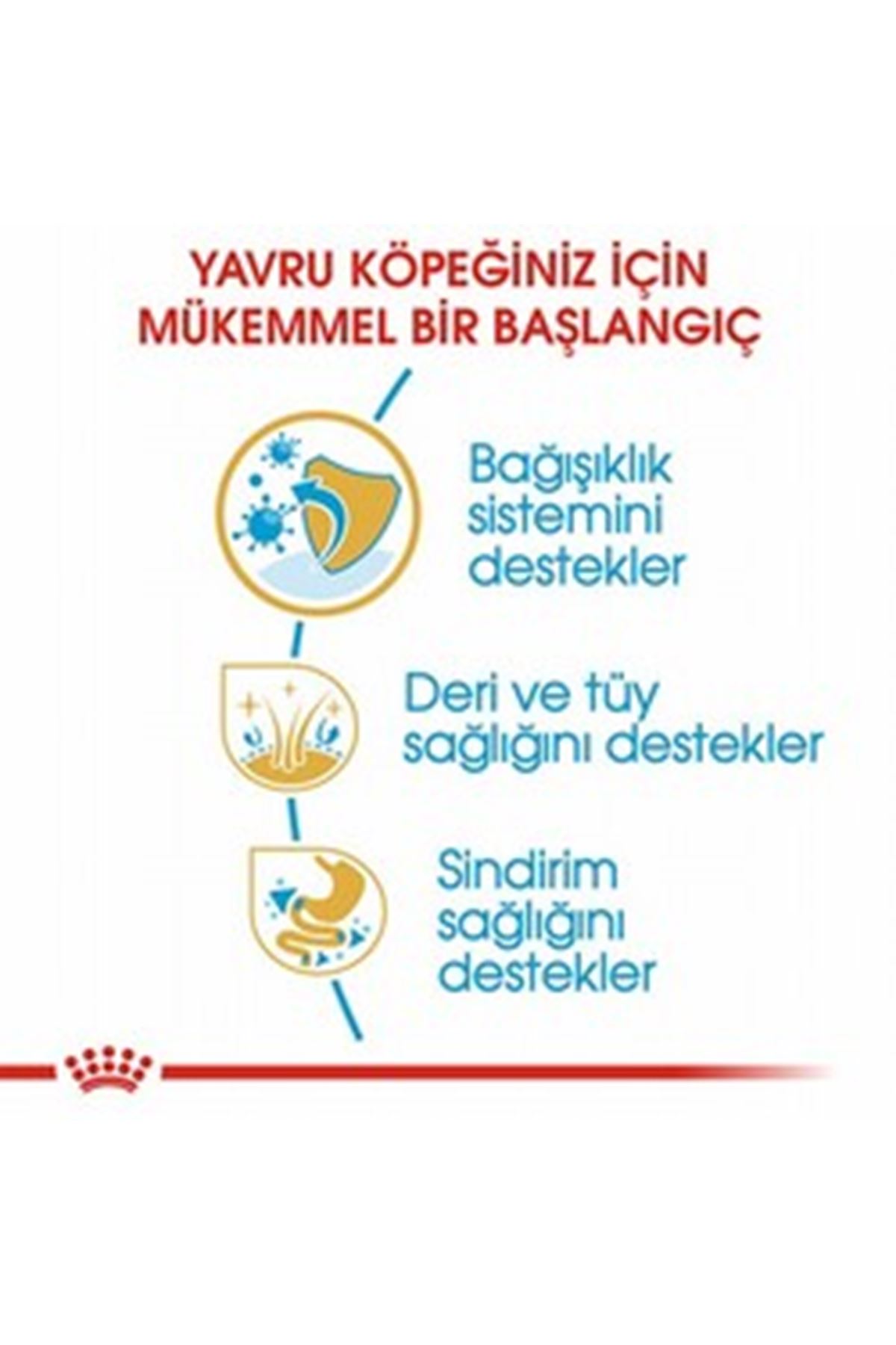 Royal Canin Yavru Köpek Maması Cocker 3 Kg