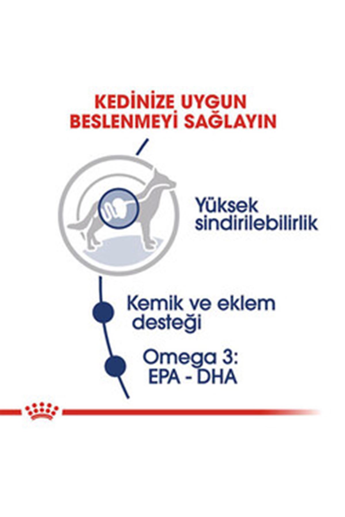 Royal Canin Köpek Yaş Maması Büyük Irk 140 G