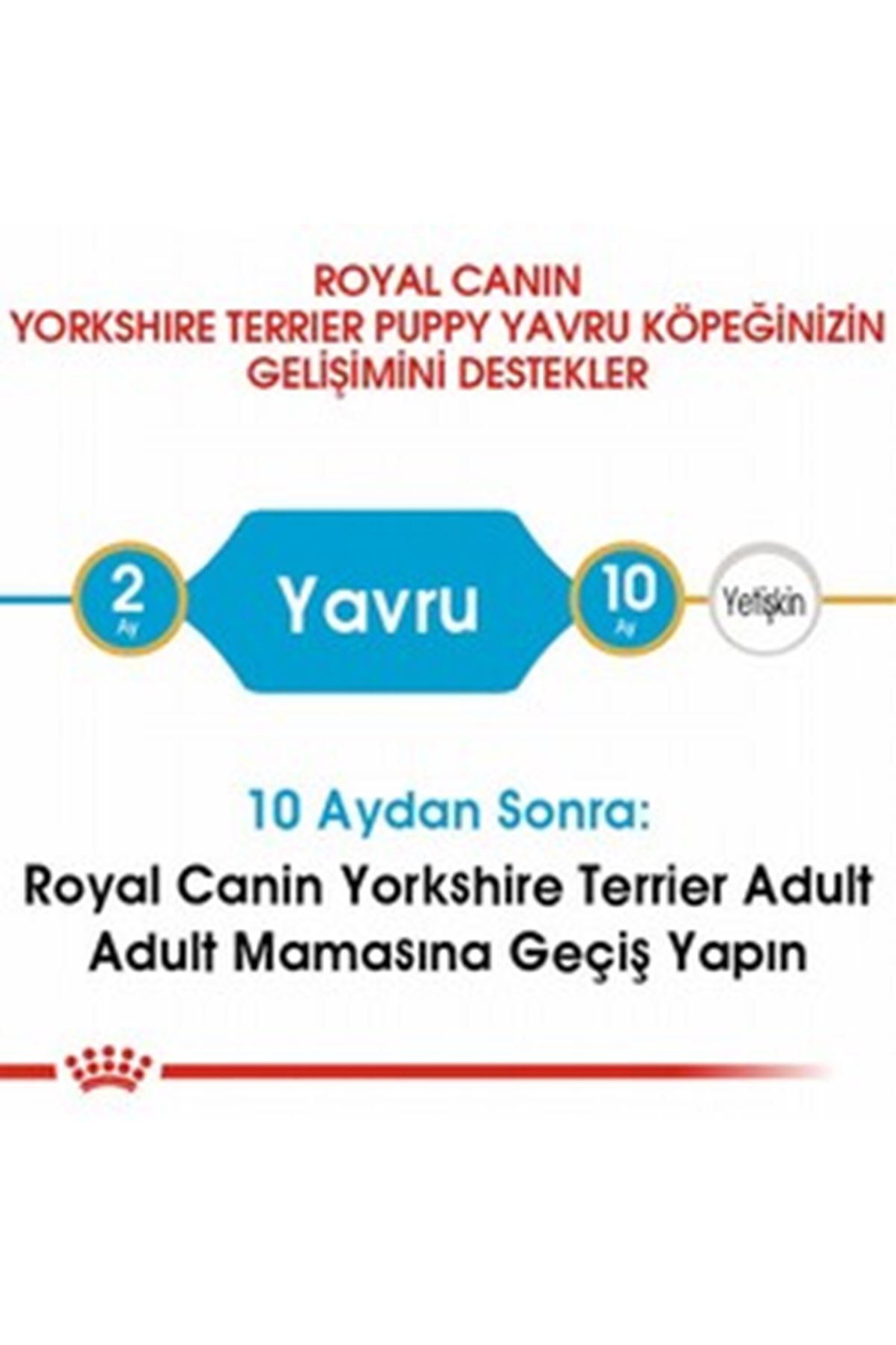 Royal Canin Yavru Köpek Maması Yorkshire 1.5 Kg