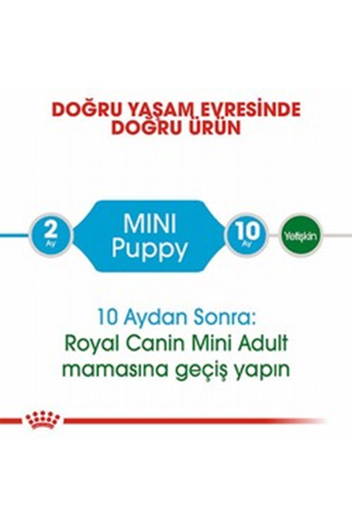 Royal Canin Yavru Köpek Maması Mini Küçük Irk 4 Kg
