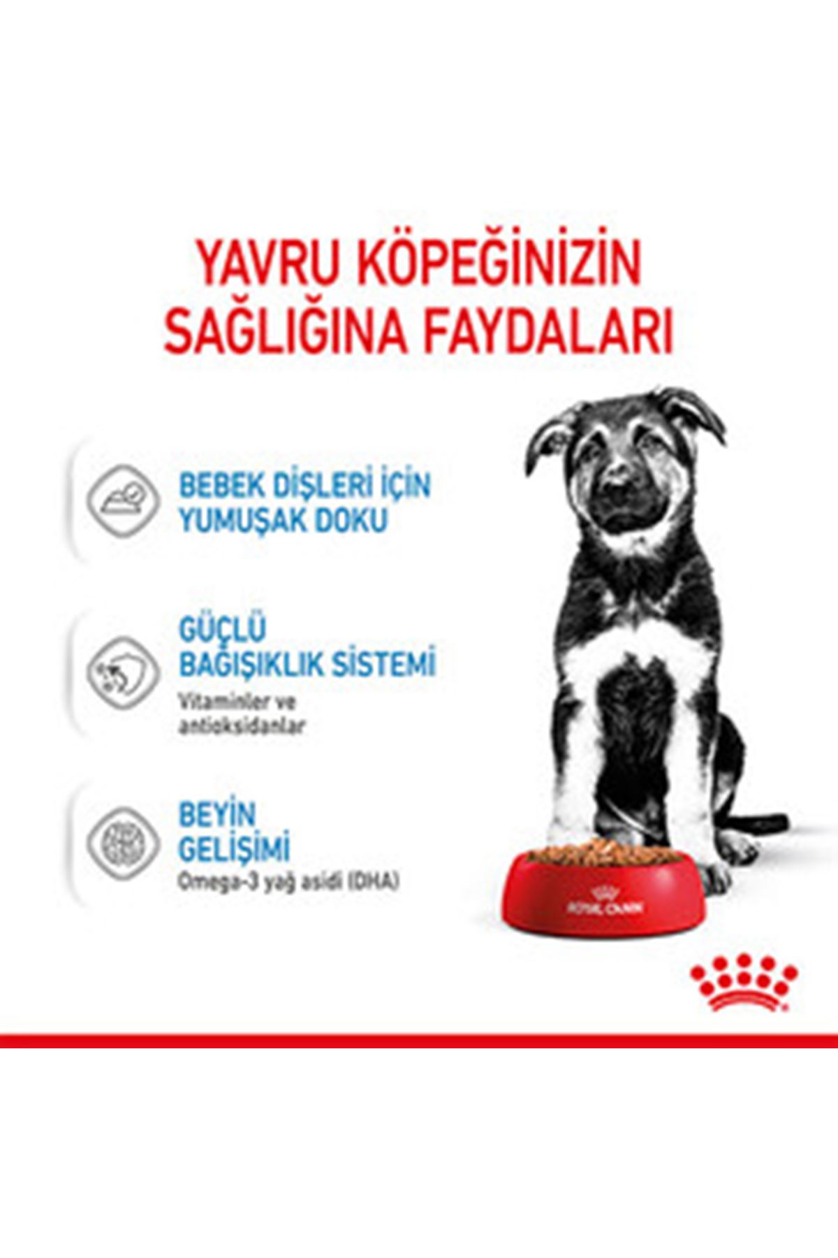 Royal Canin Yavru Köpek Yaş Maması Maxi 140 G