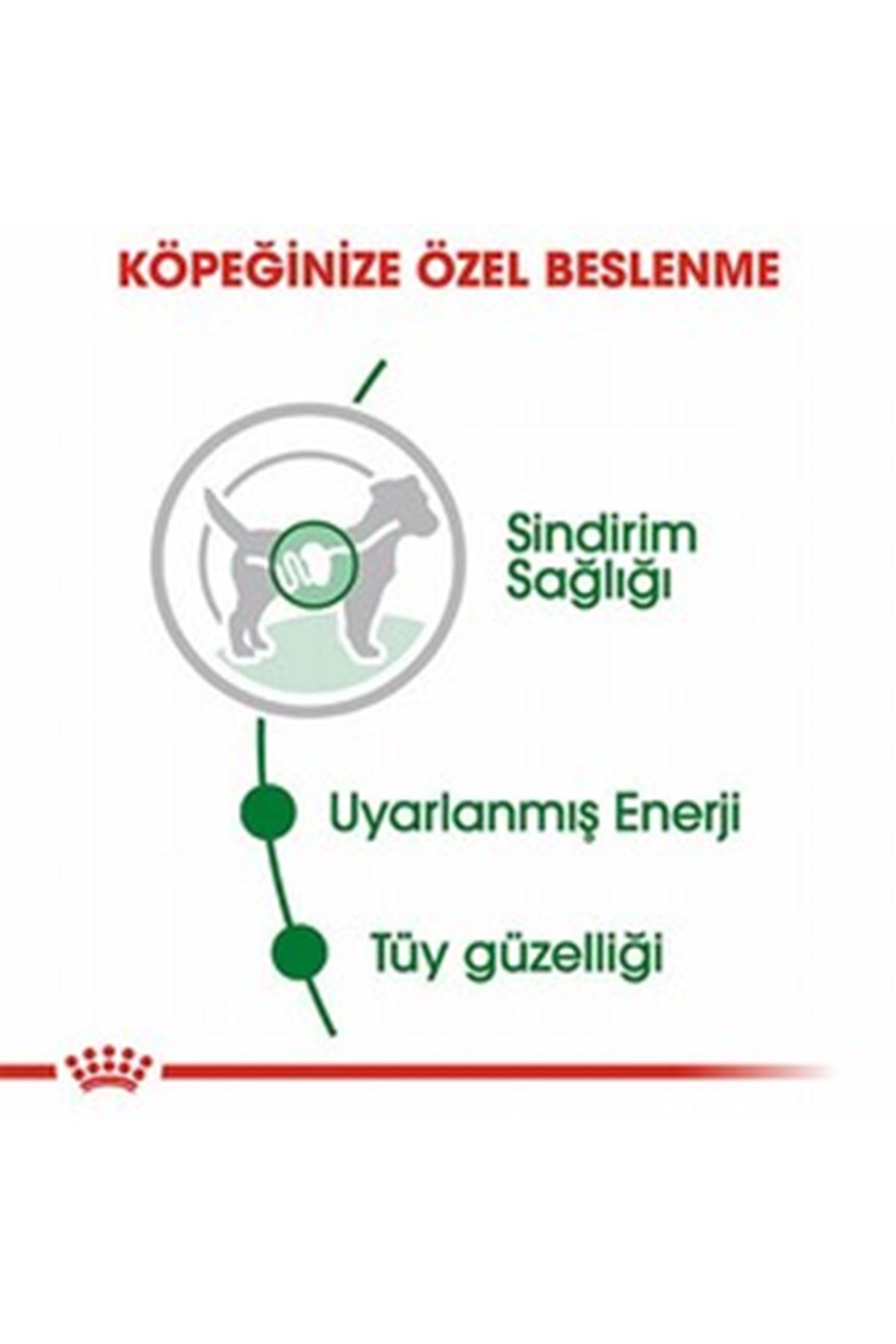 Royal Canin Köpek Yaş Maması Mini Irk 85 G