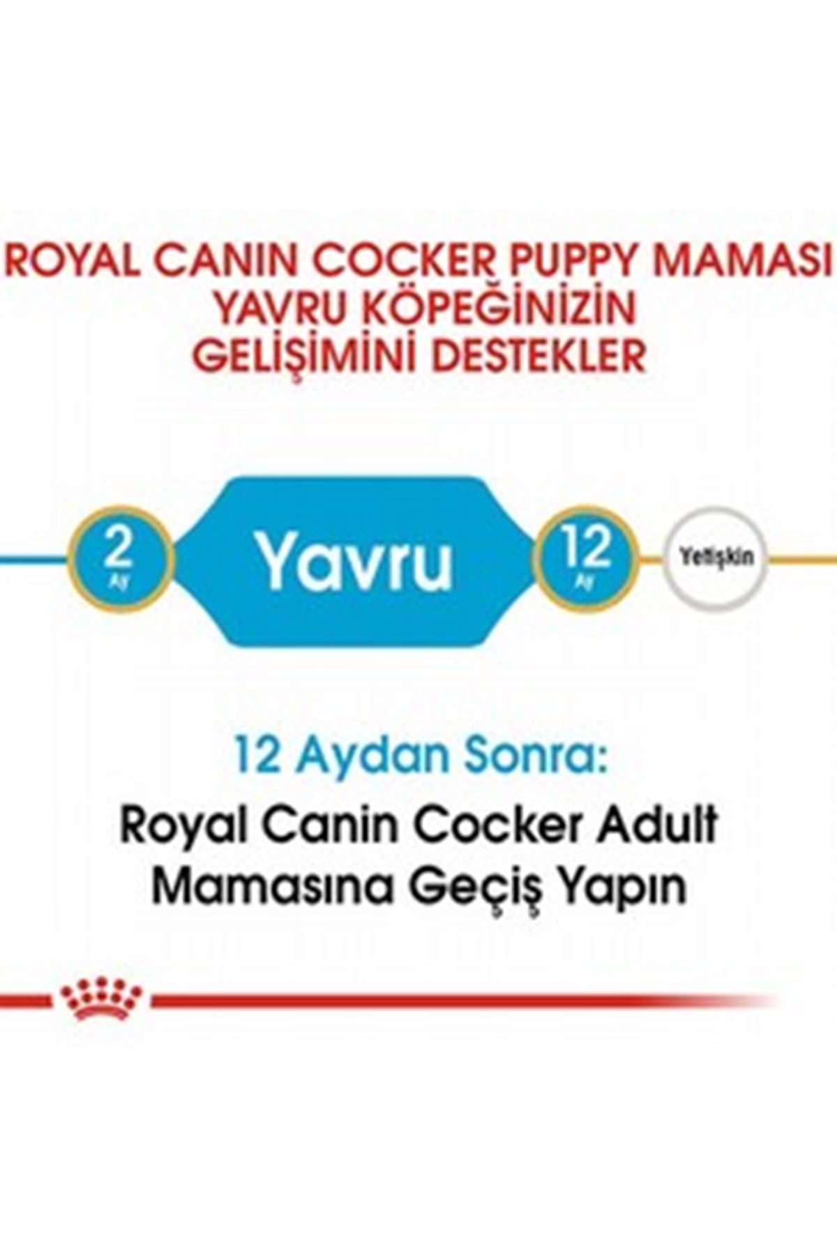 Royal Canin Yavru Köpek Maması Cocker 3 Kg
