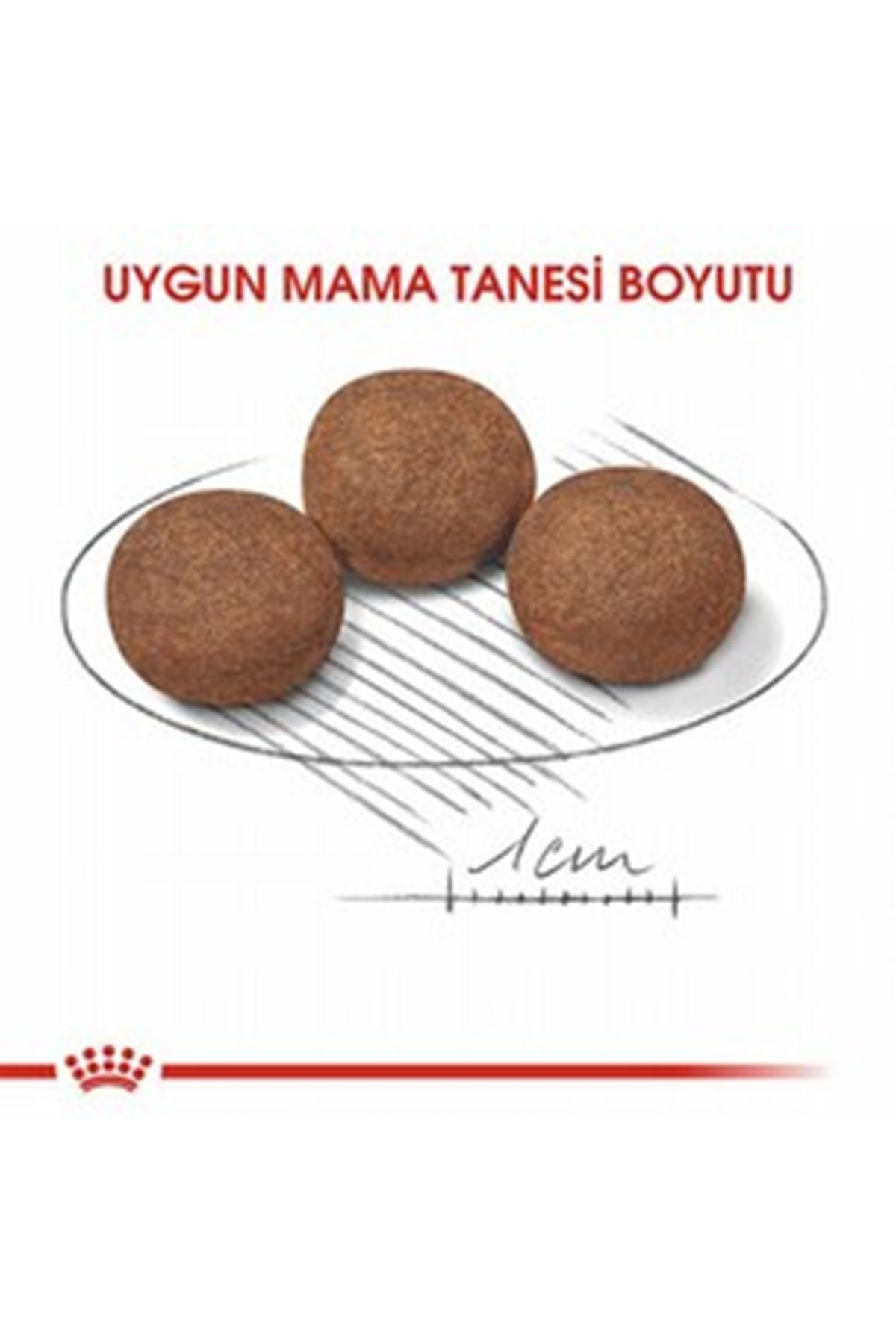 Royal Canin Yavru Köpek Maması Orta Irk 4 Kg