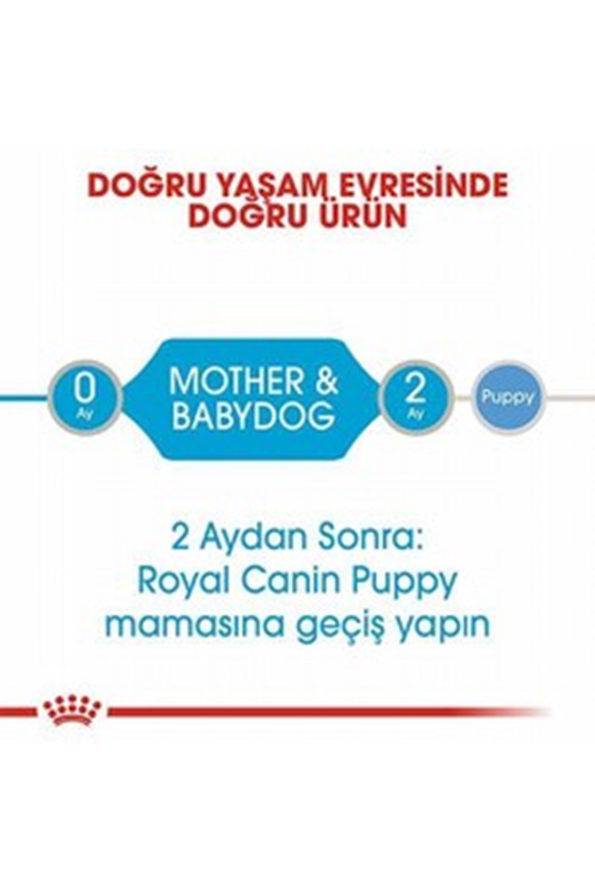 Royal Canin Köpek Yaş Maması Anne Yavru 195 G