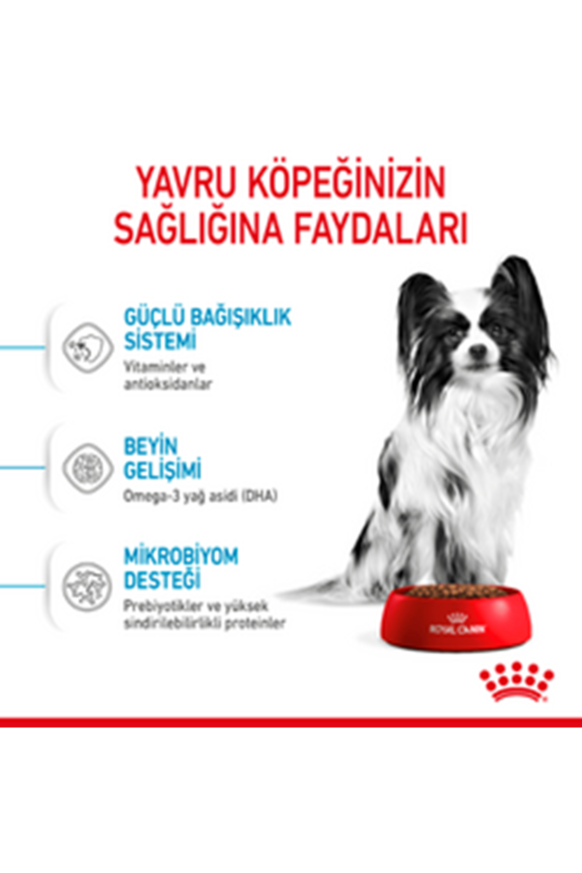 Royal Canin Yavru Köpek Maması Xsmall 3 Kg