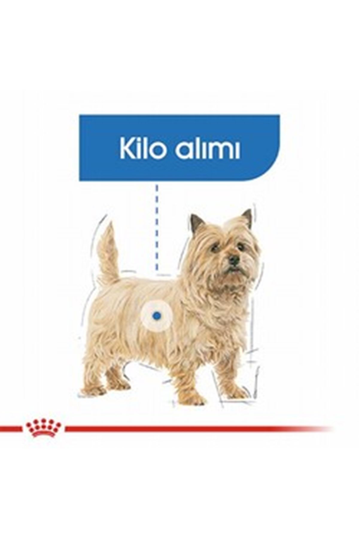 Royal Canin Köpek Maması Light Weight Mini Irk 3Kg