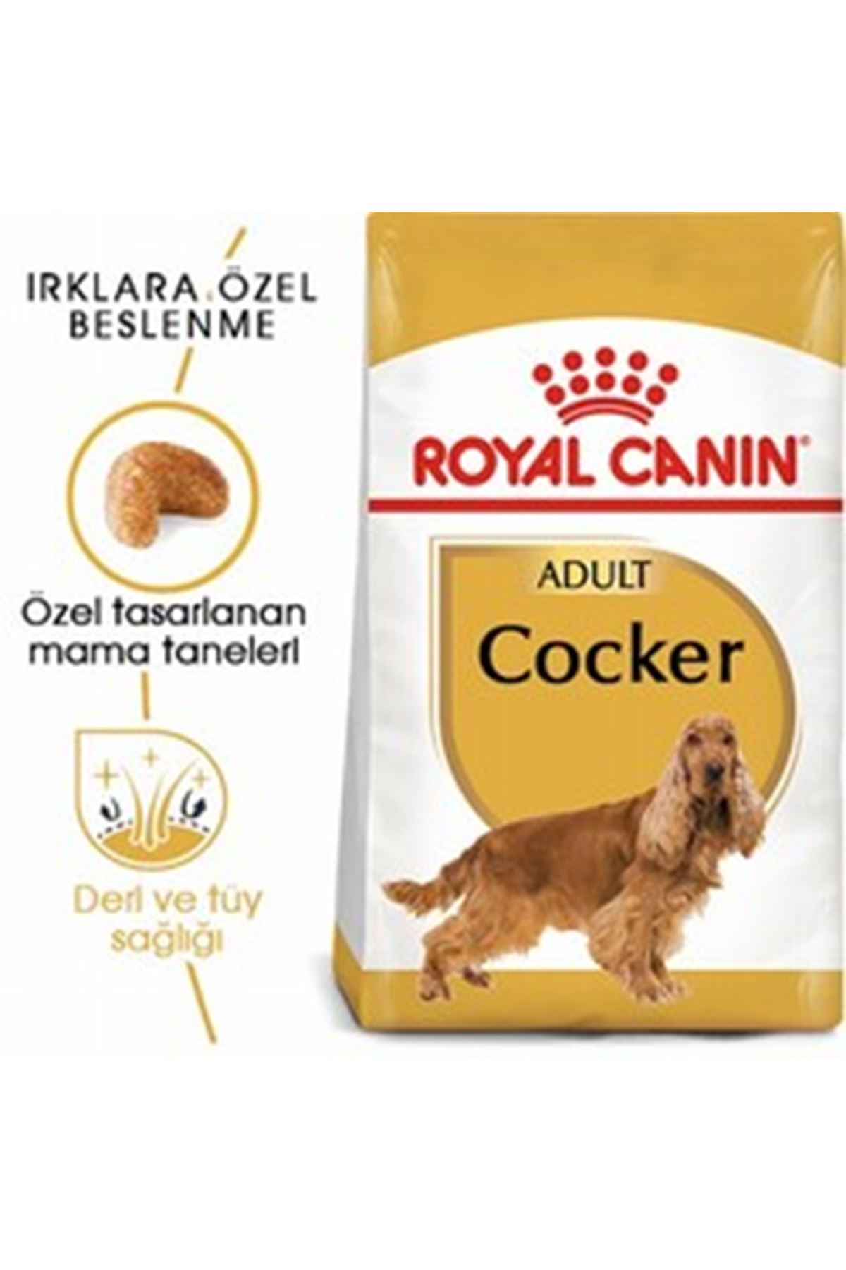 Royal Canin Köpek Maması Cocker 3 Kg