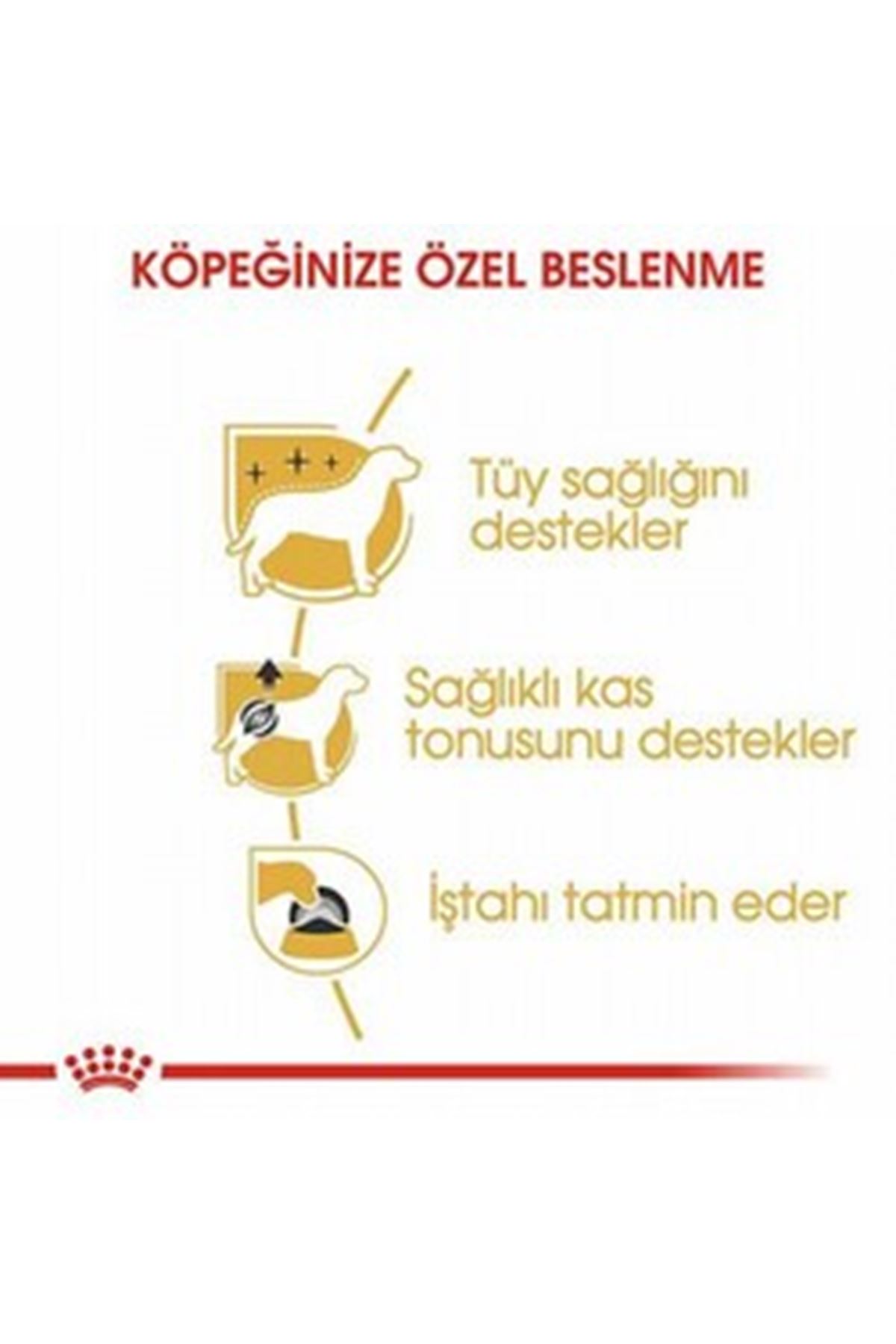 Royal Canin Köpek Yaş Maması Tüy Sağlığı 85 G