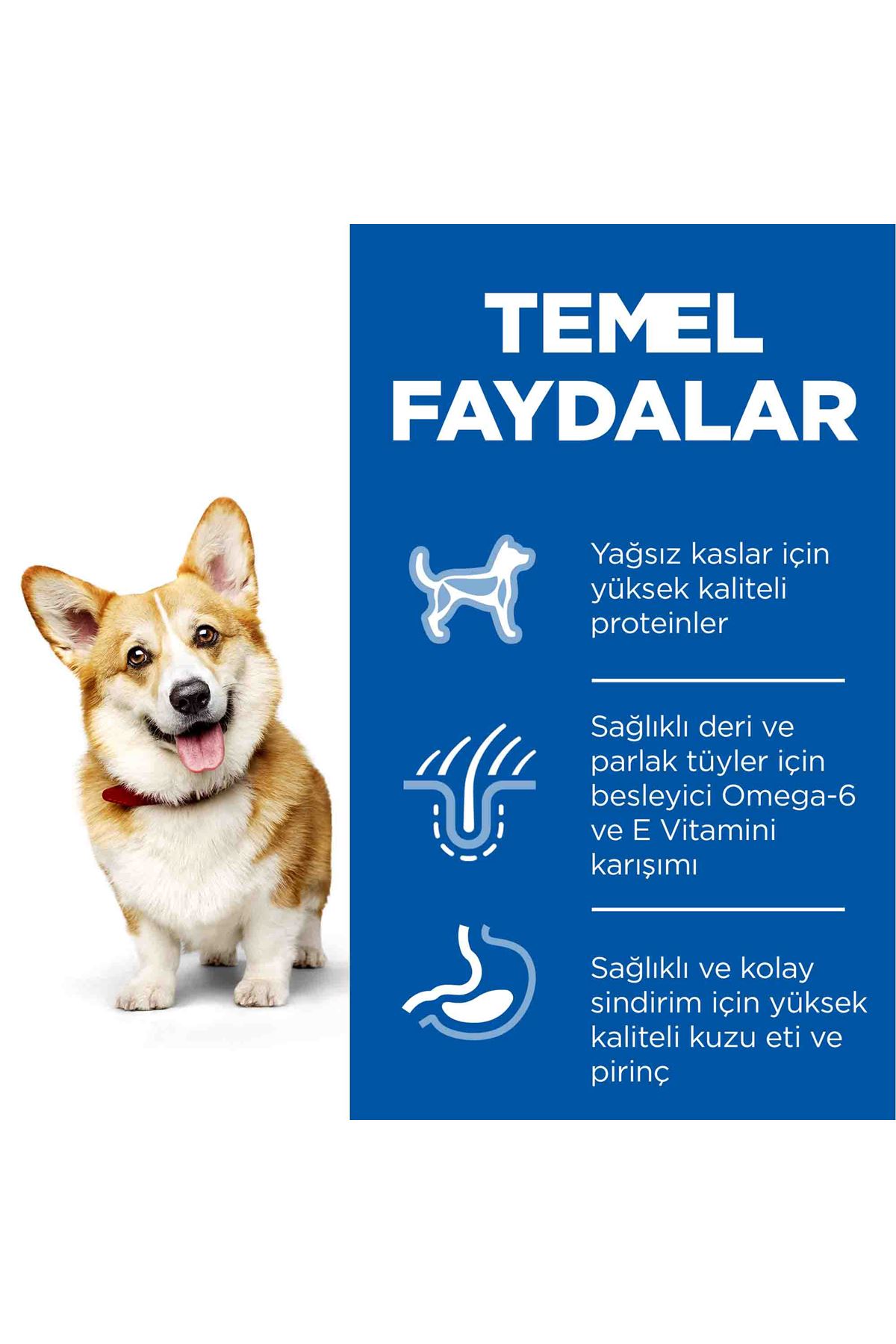 Hill's Köpek Maması M. Irk K. ve Pirinç 1,5 Kg