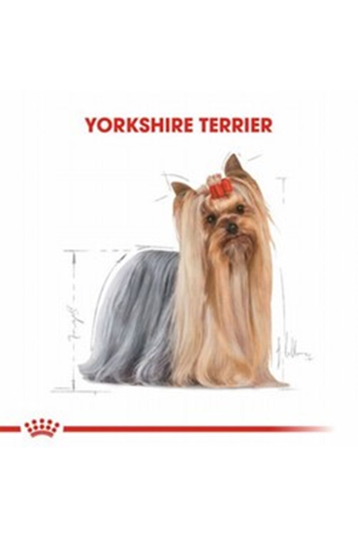 Royal Canin Köpek Maması Yorkshire 1.5 Kg
