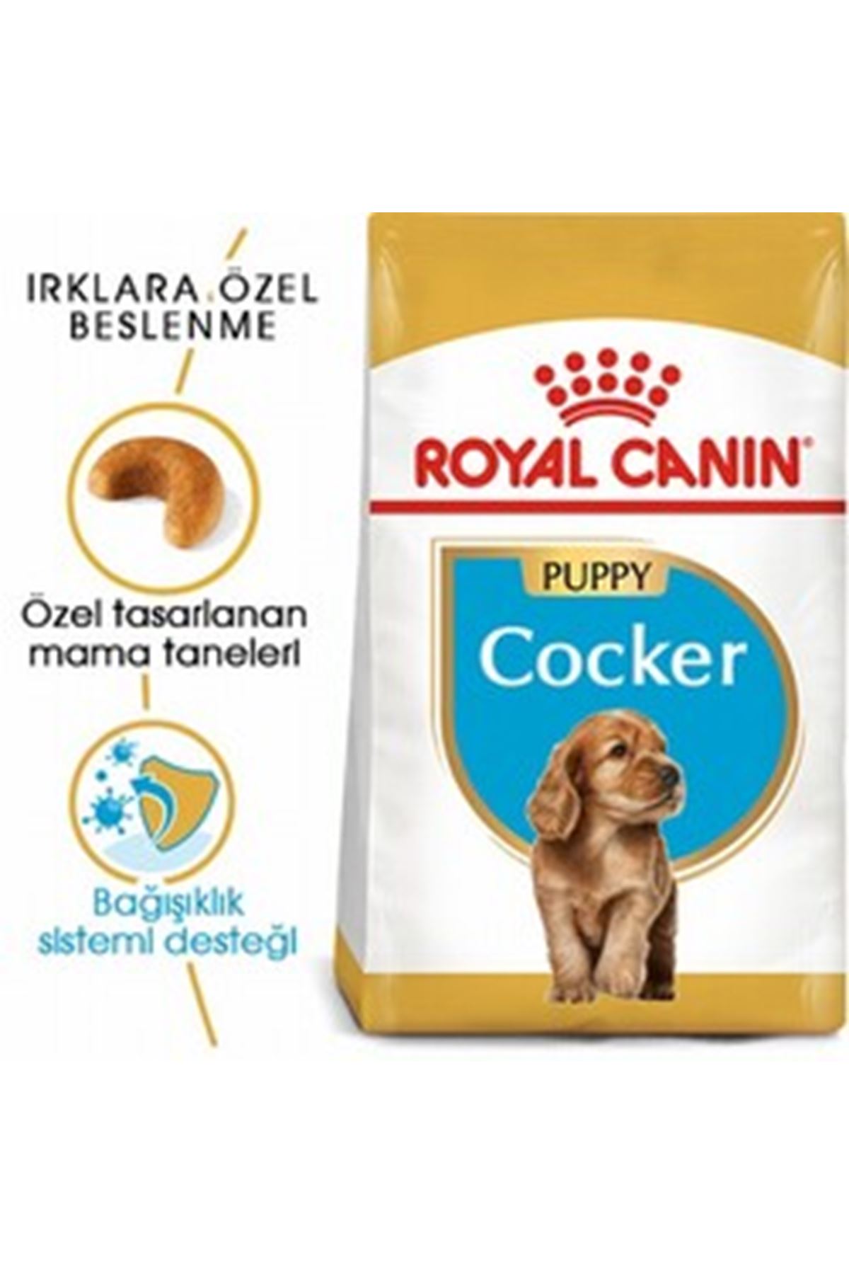 Royal Canin Yavru Köpek Maması Cocker 3 Kg