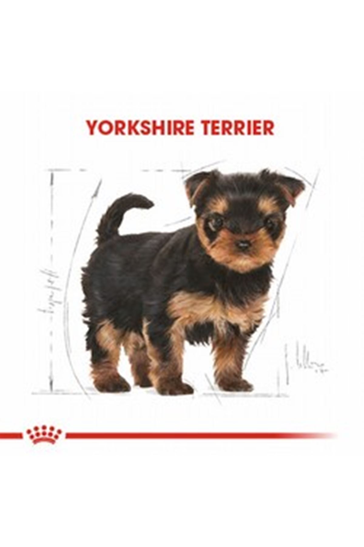 Royal Canin Yavru Köpek Maması Yorkshire 1.5 Kg