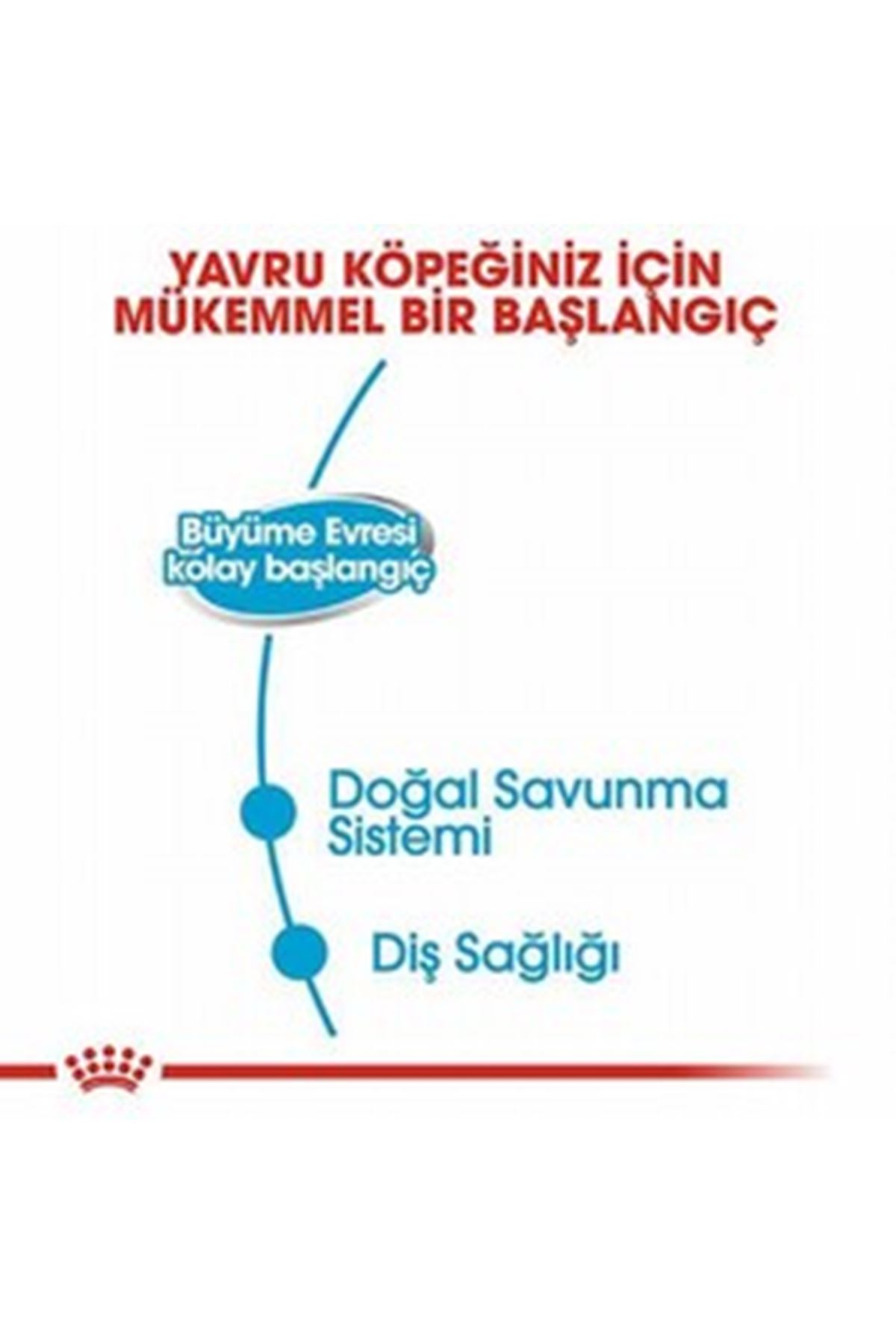 Royal Canin Köpek Yaş Maması Anne Yavru 195 G