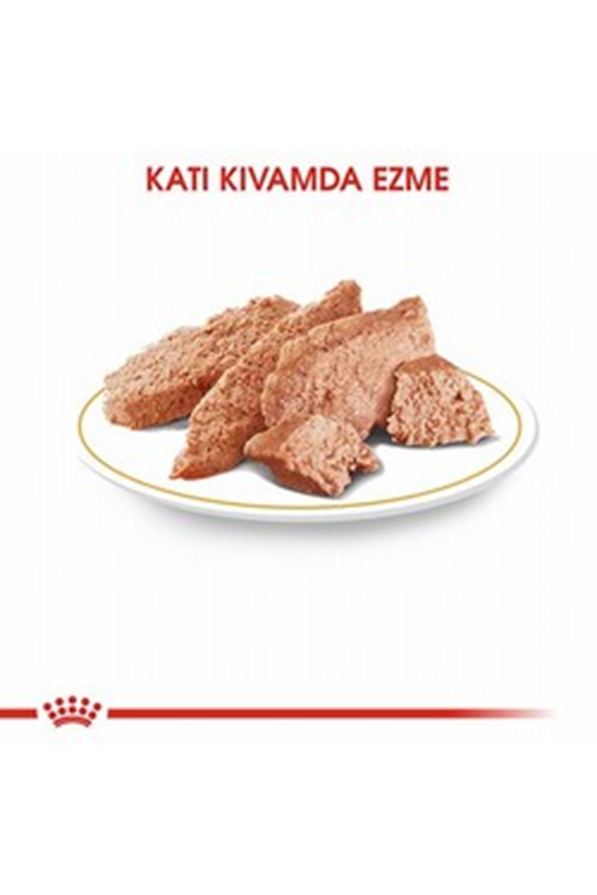 Royal Canin Köpek Yaş Maması Tüy Sağlığı 85 G