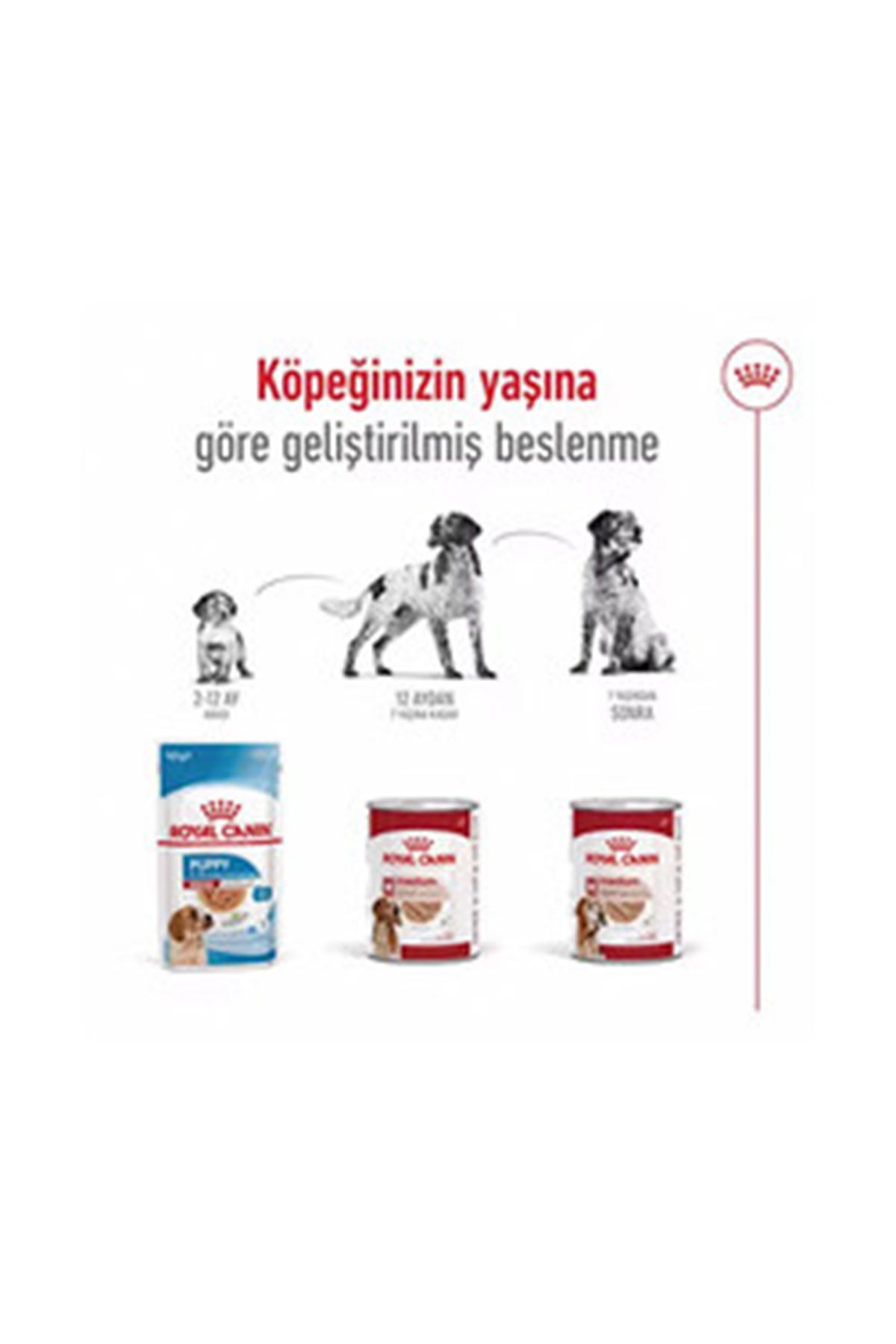 Royal Canin Köpek Yaş Maması Loaf Mousse 410 G