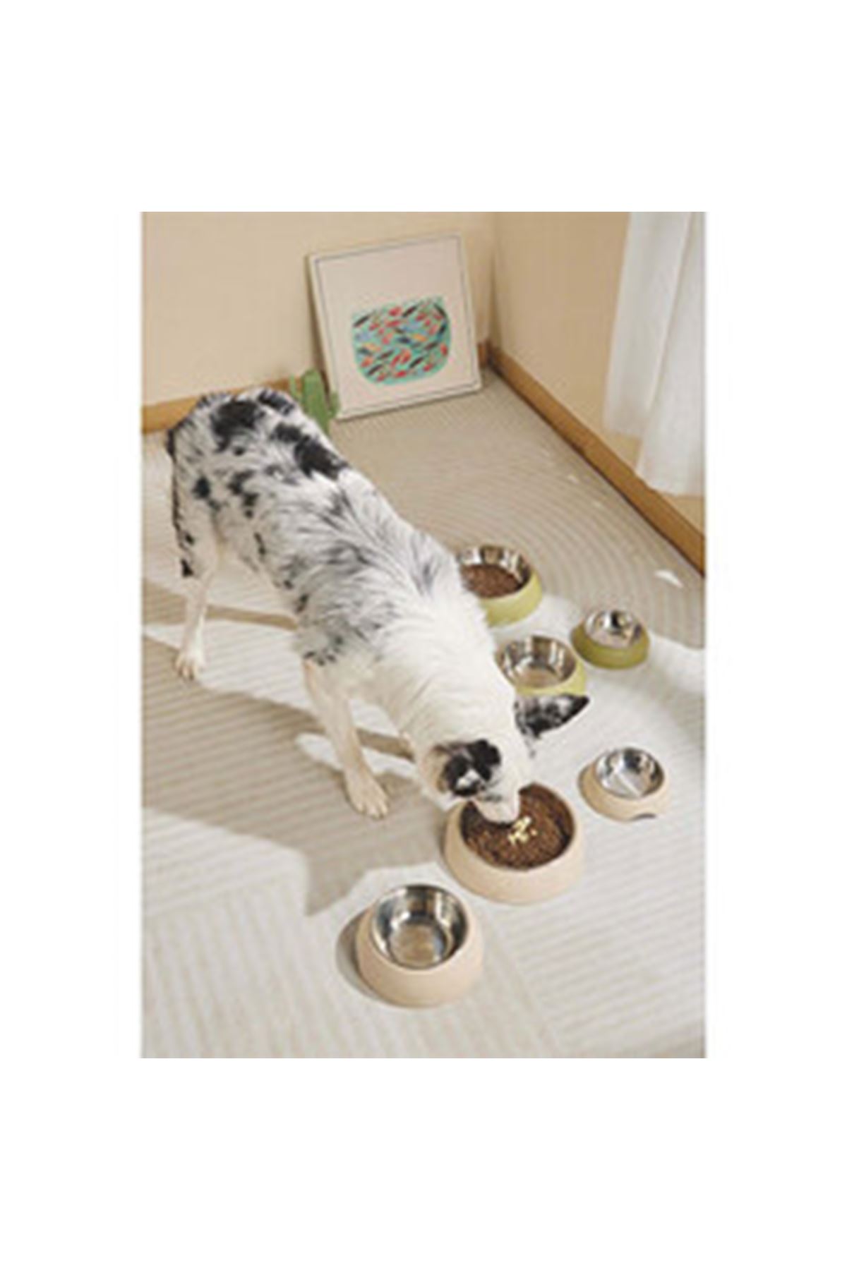 M-Pets Mama ve Su Kabı Bej Eco Bamboo 600 Ml