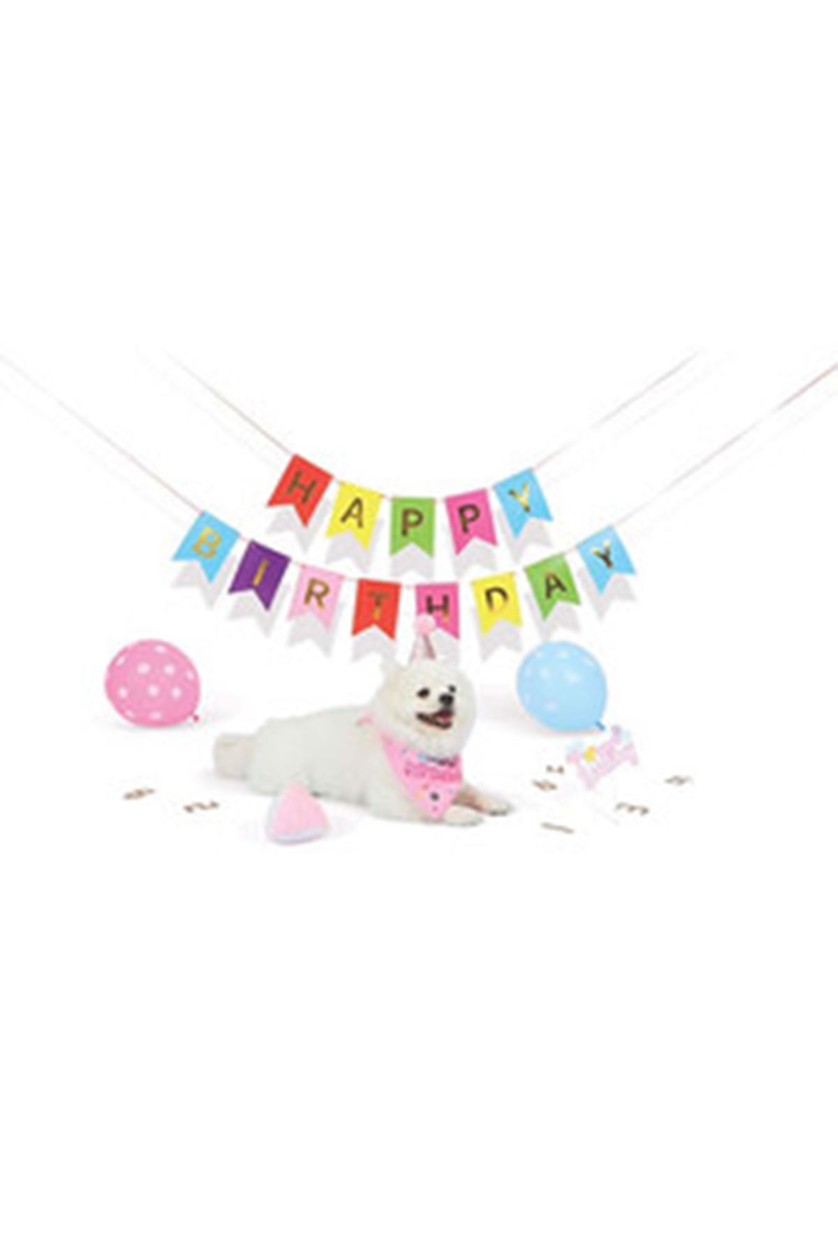 M-Pets Dişi Köpek Doğum Günü Seti 20*20*7 Cm